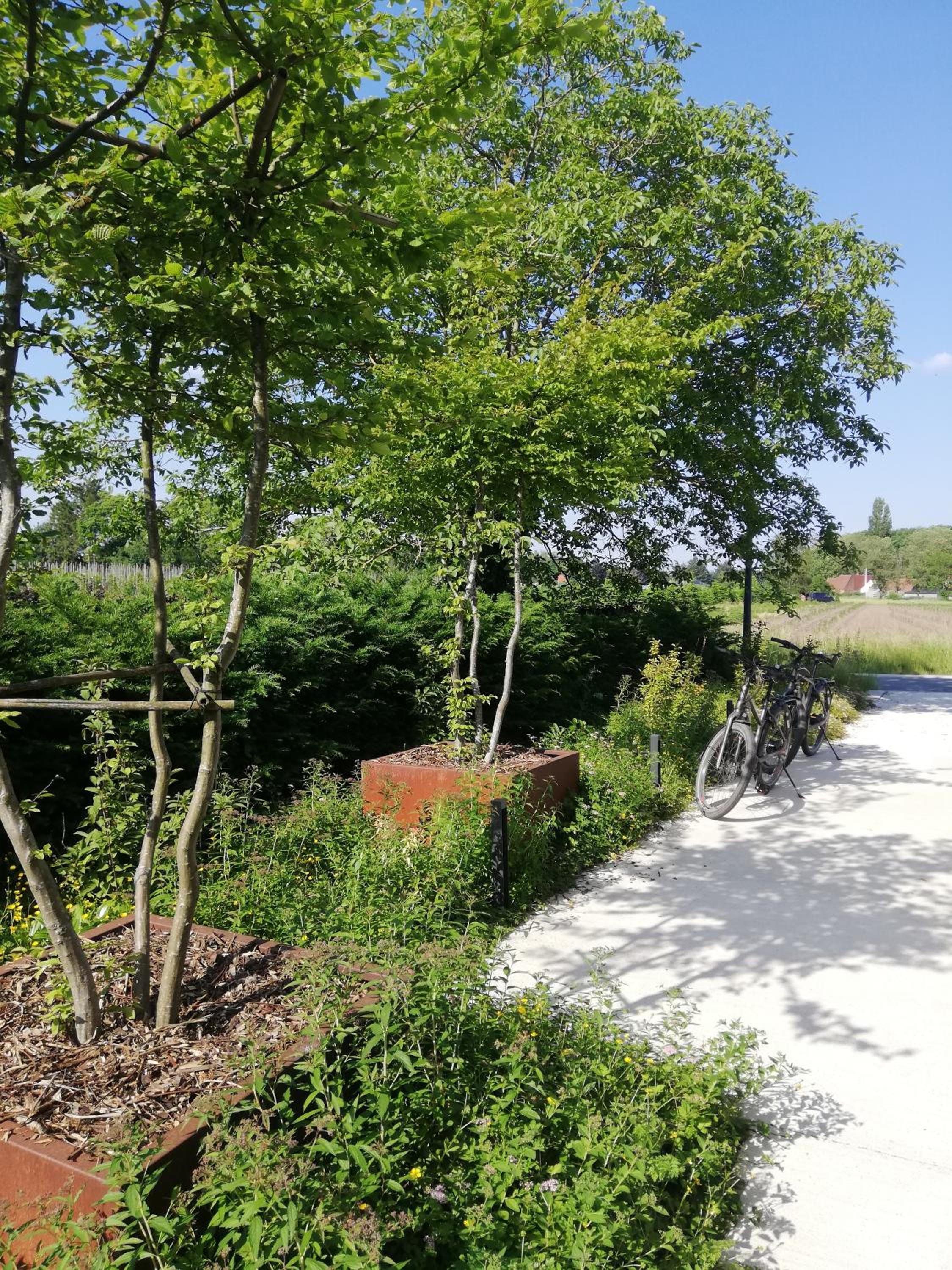 B&B De Stuifduinen