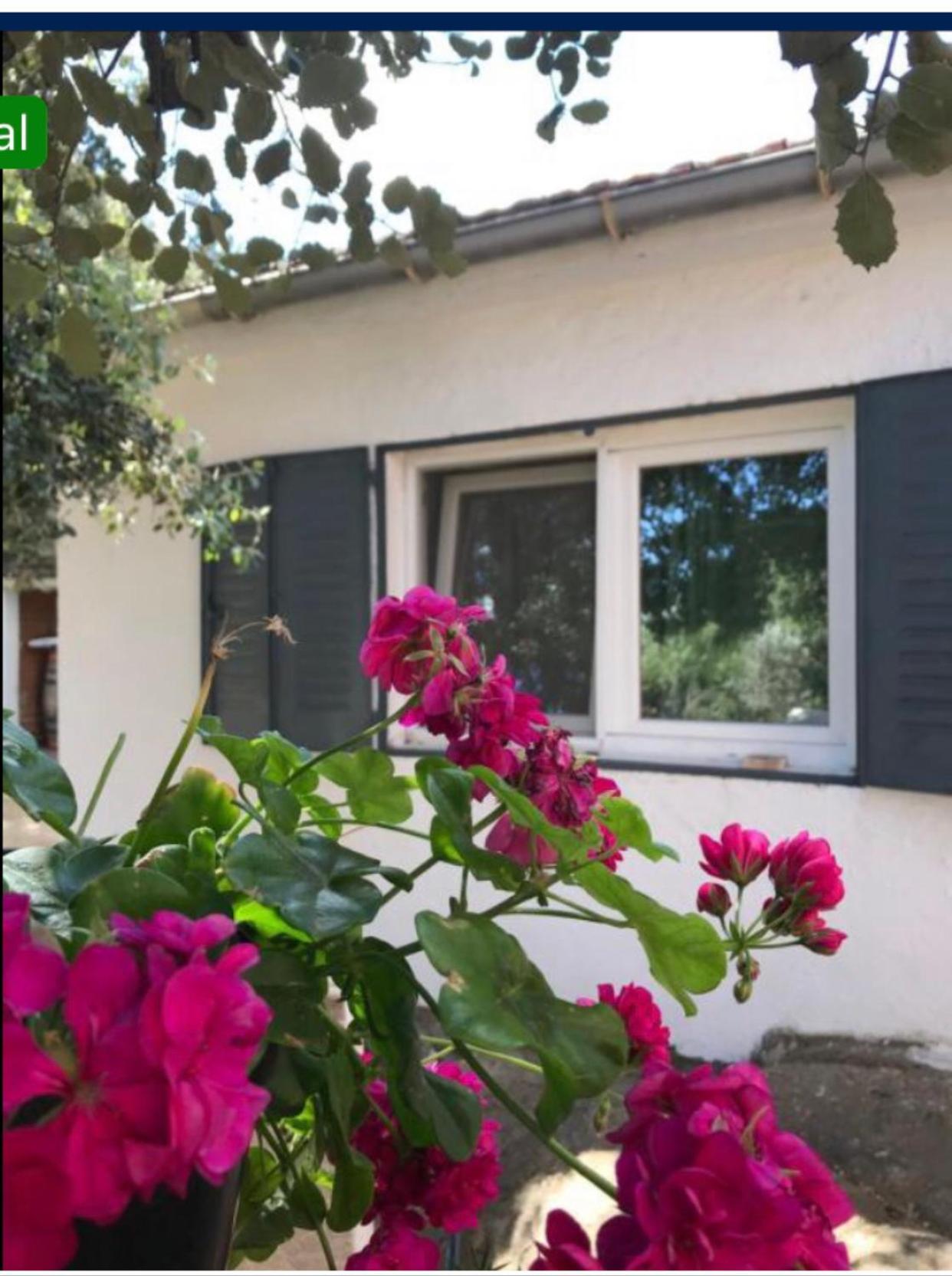 Hotel Cabana En La Naturaleza 2