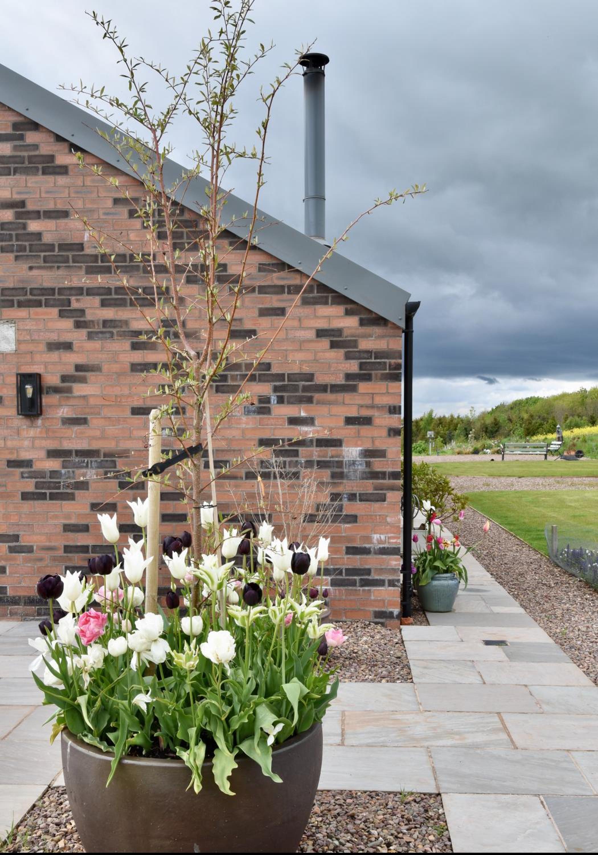 Birchbank at Chesters Farm view 4