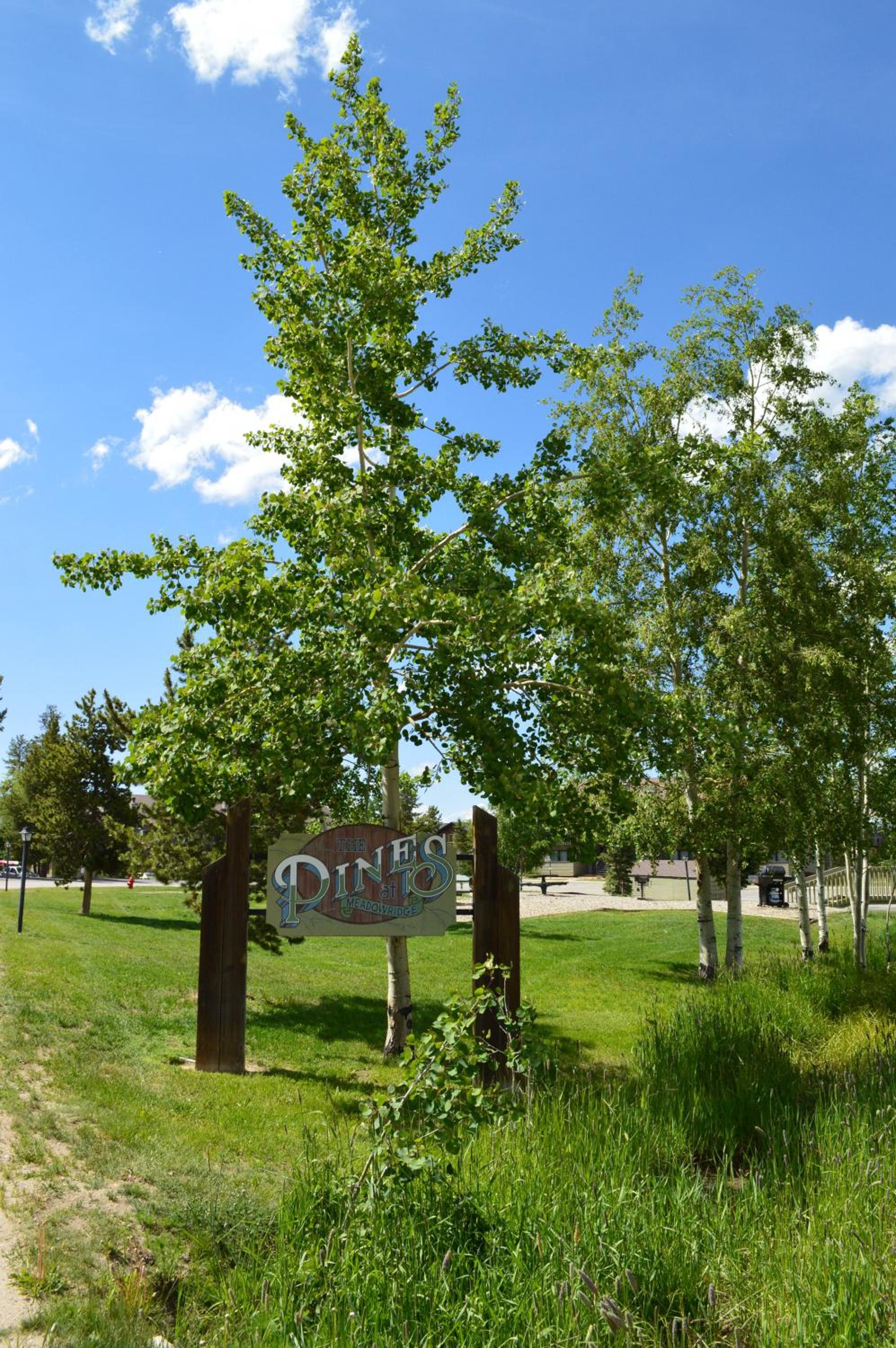 Fraser Vacations - Pines at Meadow Ridge - Property Image 8