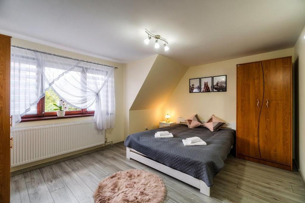 Apartament Polany view 2