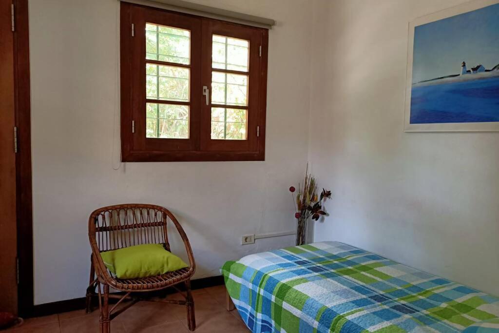 Santa Cruz de Tenerife Vacations - Apartamento-Bungalow con jardin y garaje - Property Image 12