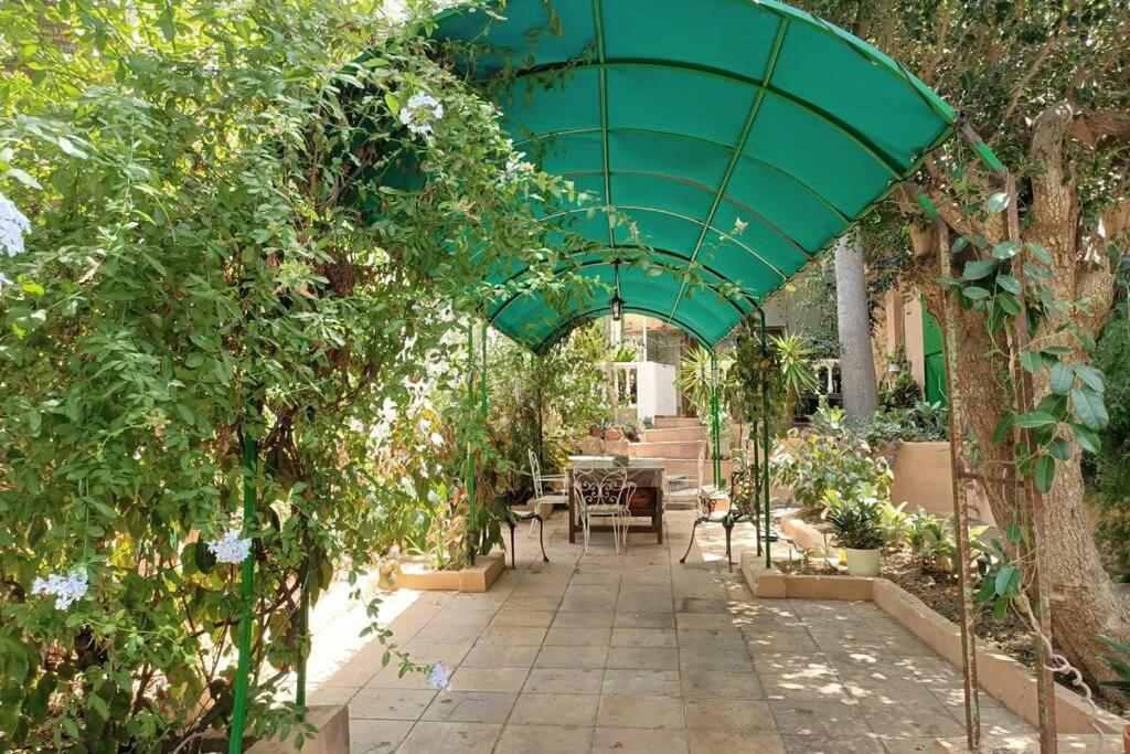 Santa Cruz de Tenerife Vacations - Apartamento-Bungalow con jardin y garaje - Property Image 6
