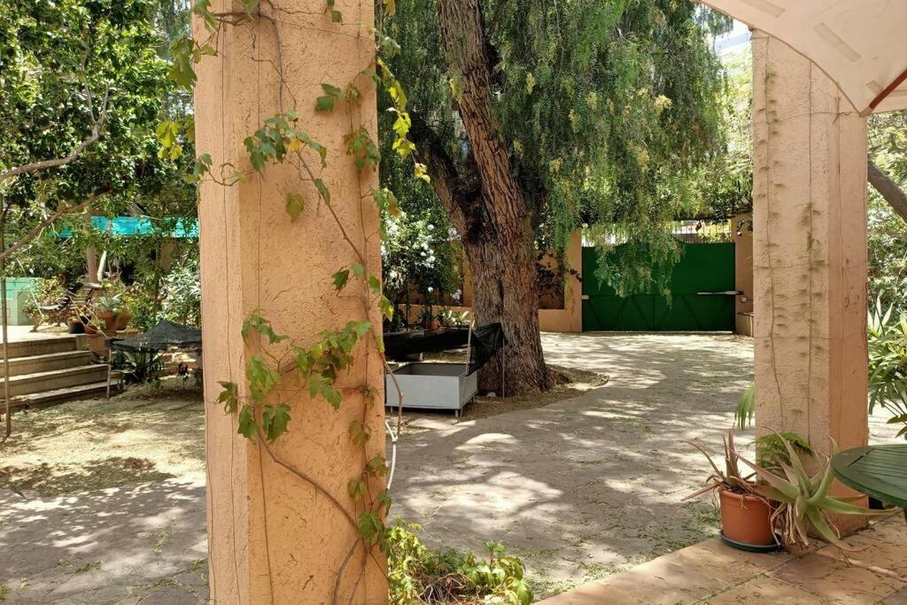 Santa Cruz de Tenerife Vacations - Apartamento-Bungalow con jardin y garaje - Property Image 4