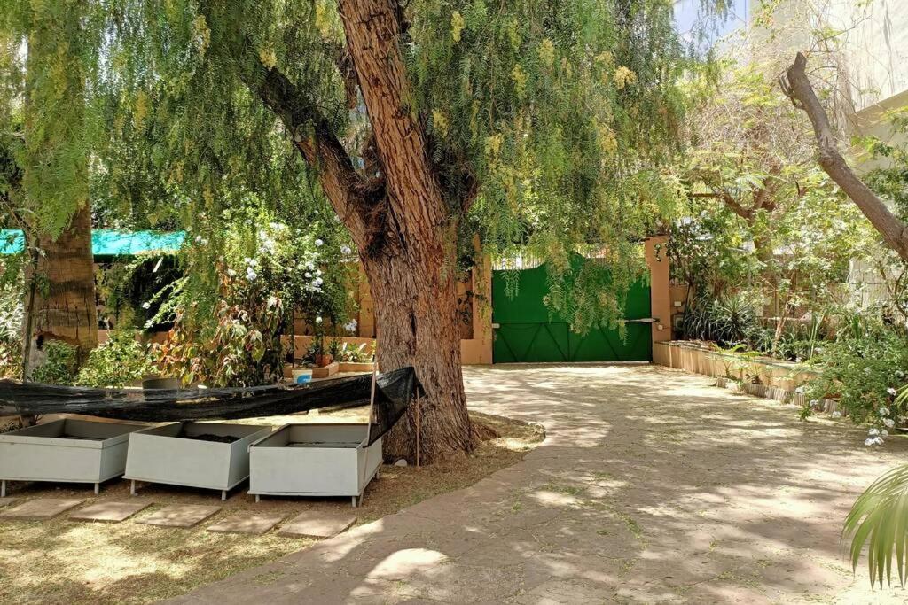 Santa Cruz de Tenerife Vacations - Apartamento-Bungalow con jardin y garaje - Property Image 3