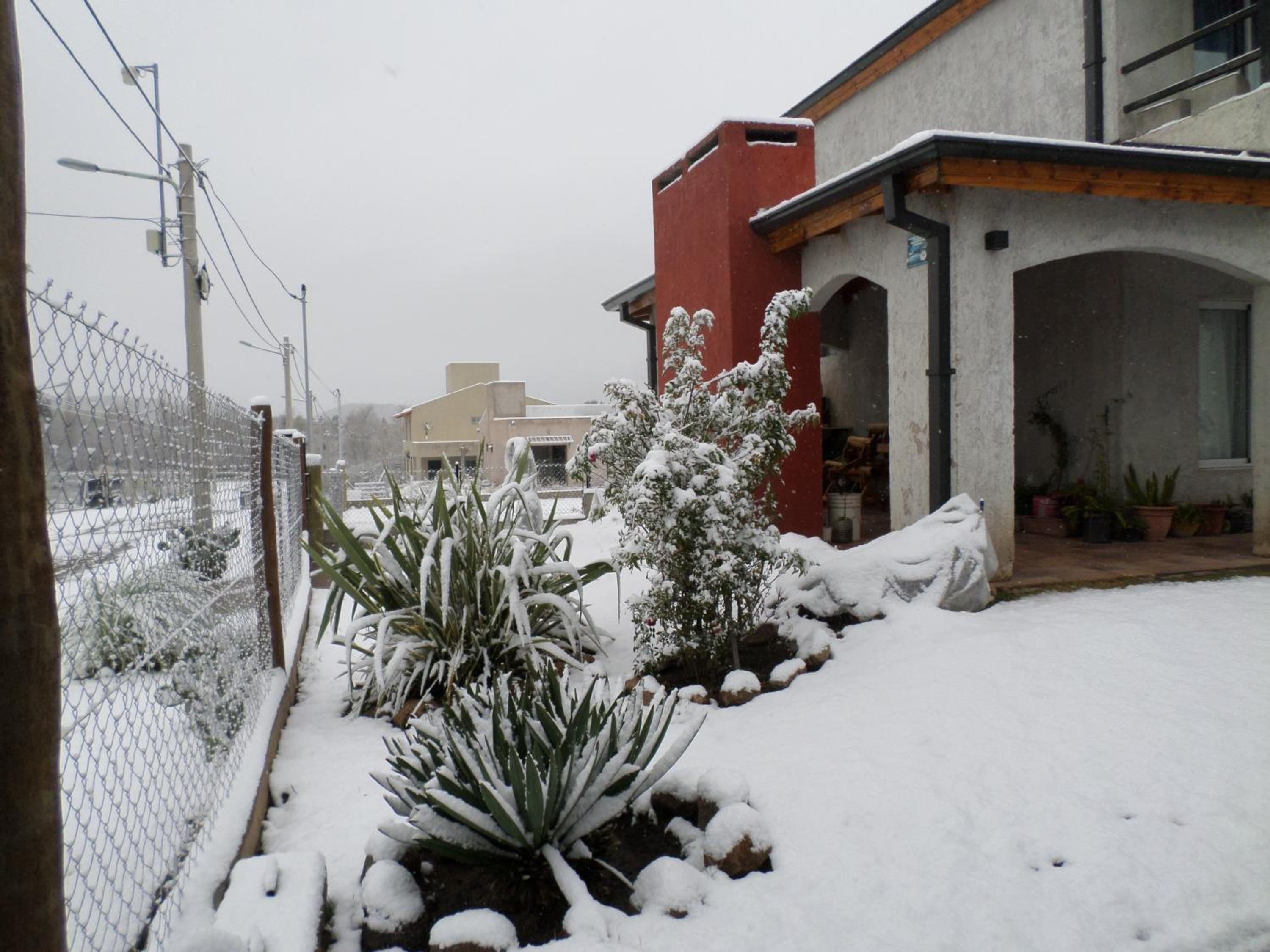 Encanto Puntano