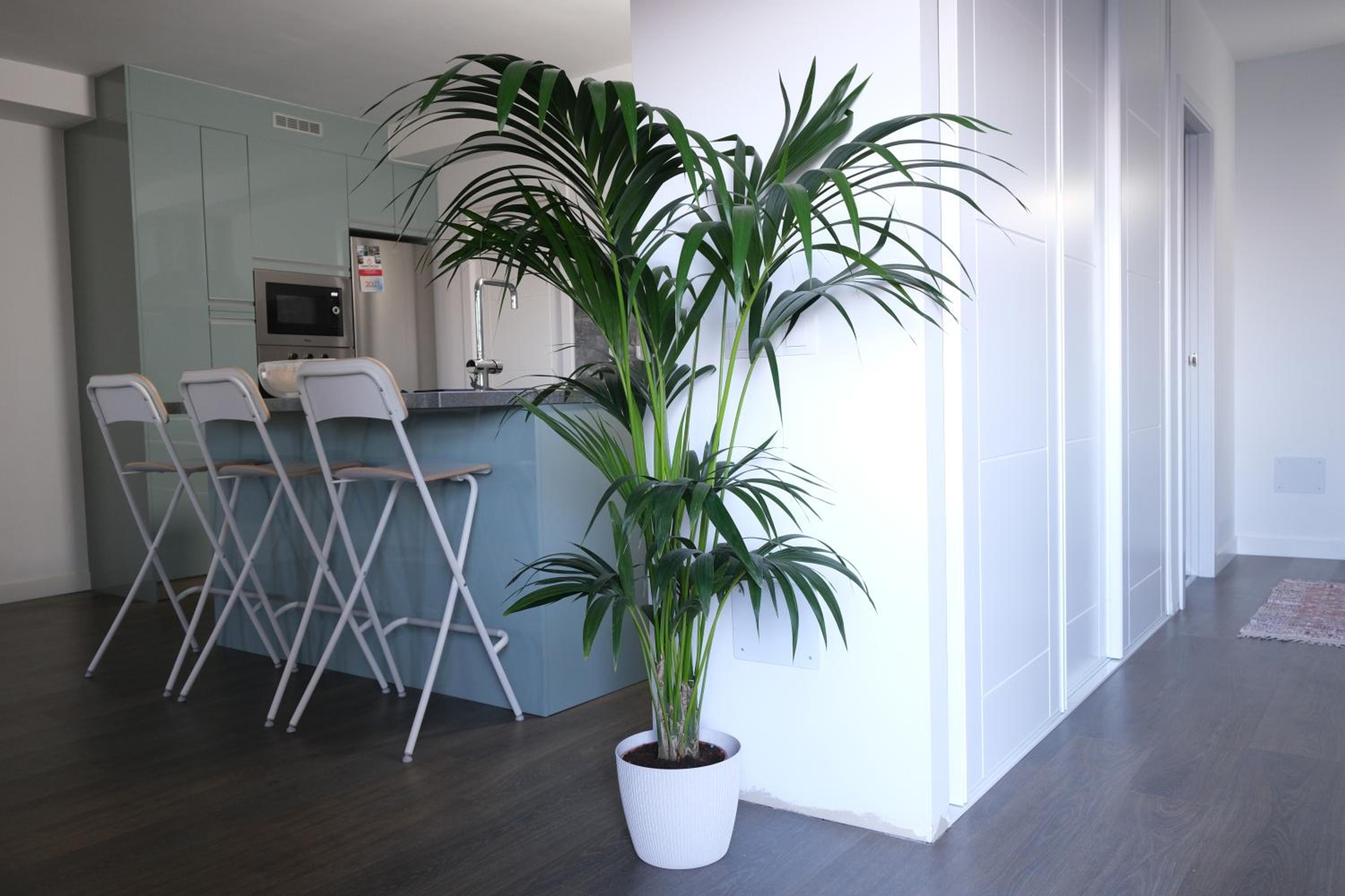 Vivienda vacacional El Cabo