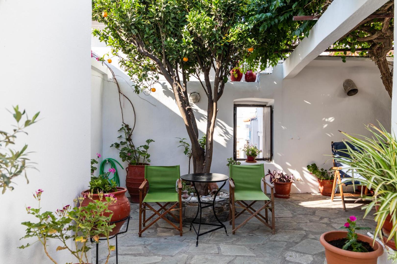 Traditional House