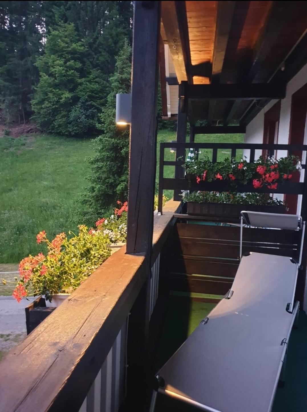 Waldblick Ferienwohnungen