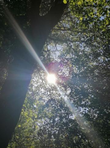 La roulotte des Trois Arbres view 4
