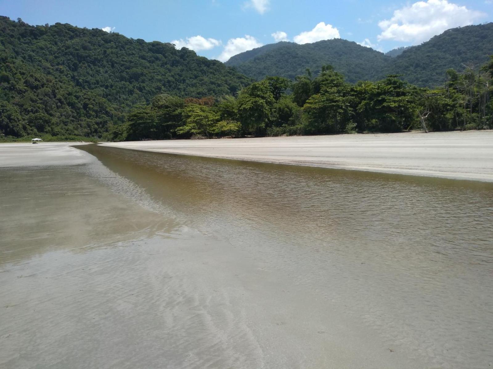 Aguazuis