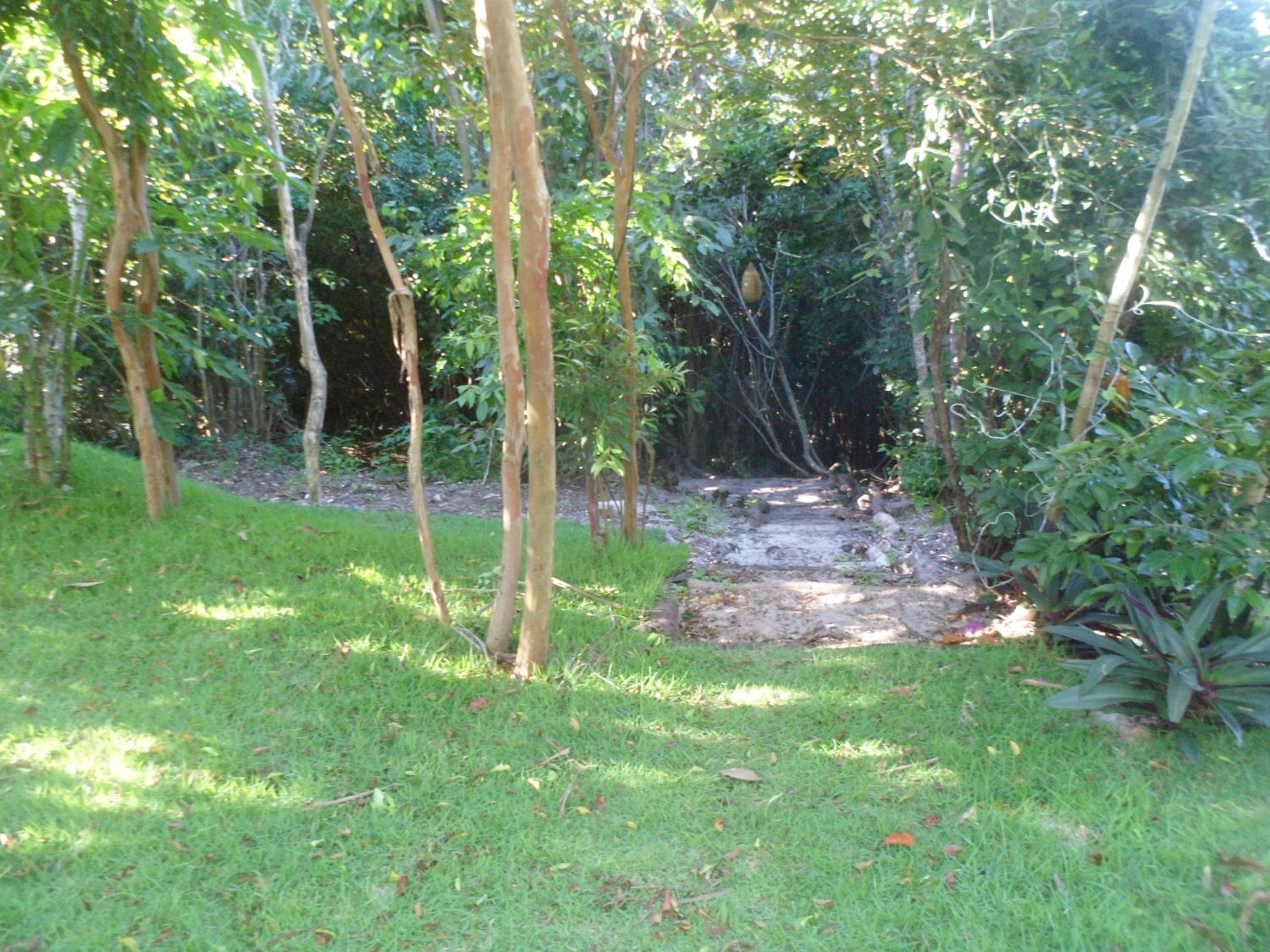Photo 27
