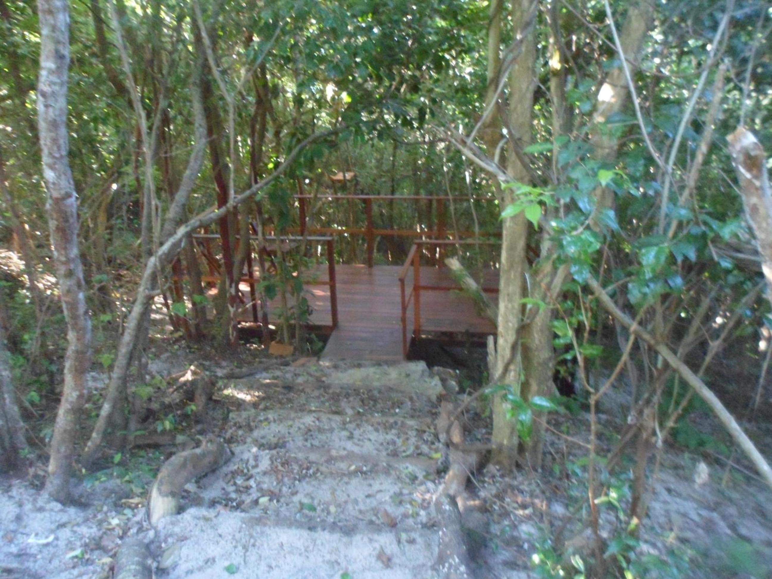 Photo 28