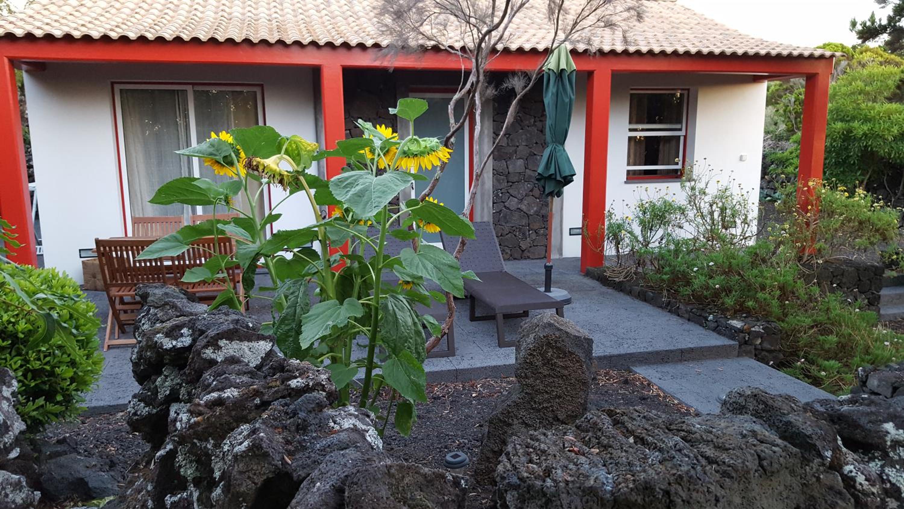 Casa da estrela canopus view 3