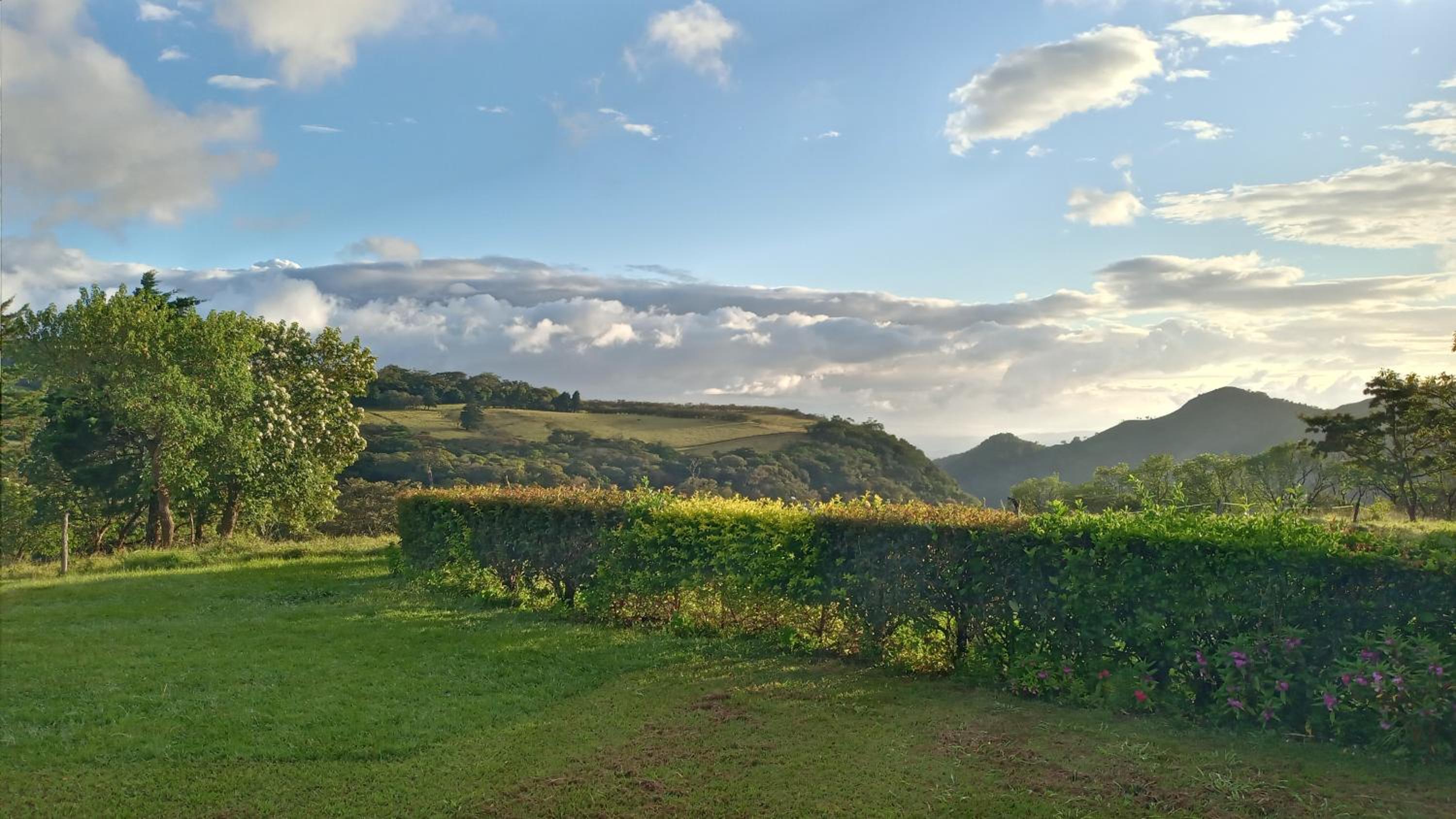 Campo Azul #2 - Monteverde