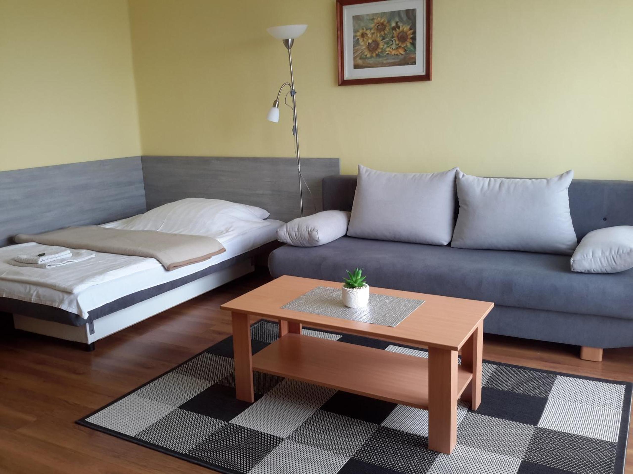 Szeki Apartman view 3