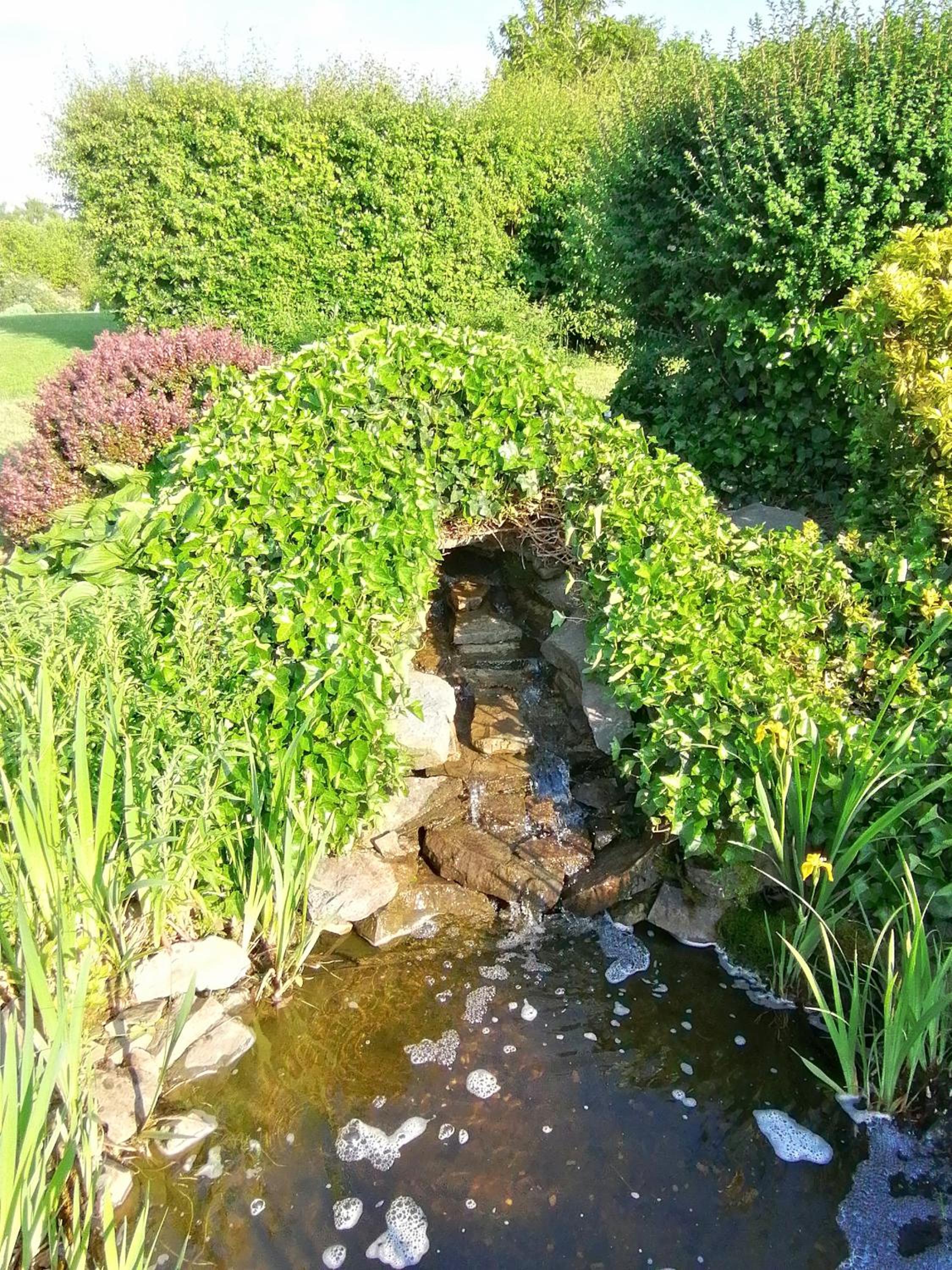 Photo 43