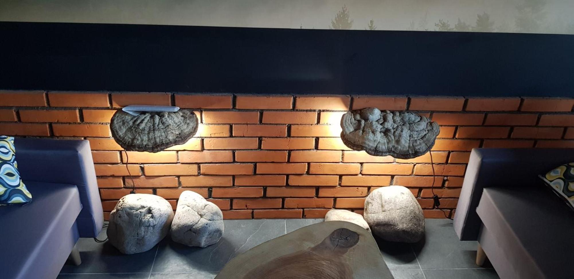 Apartamenty SPOKOLOKO Skrzyczne Residence Korzenny i Kamienny, photo 6