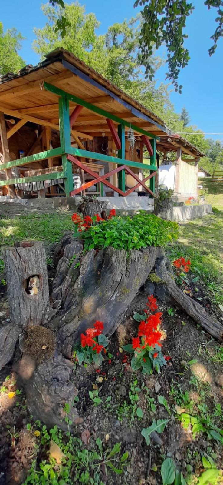Stari dud Beserovina