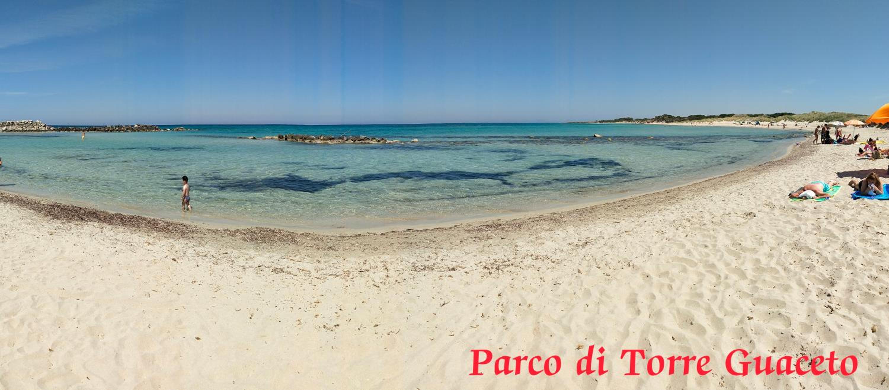 Photo 46