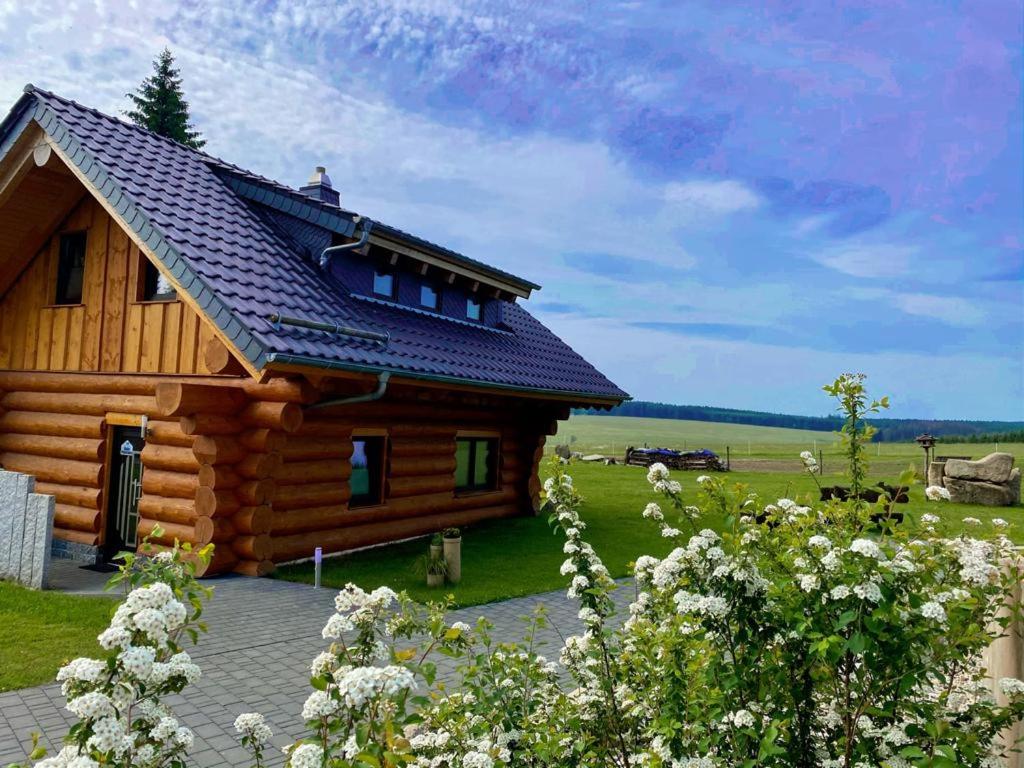 Naturstammhaus und Appartements Zum Brockenbaecker