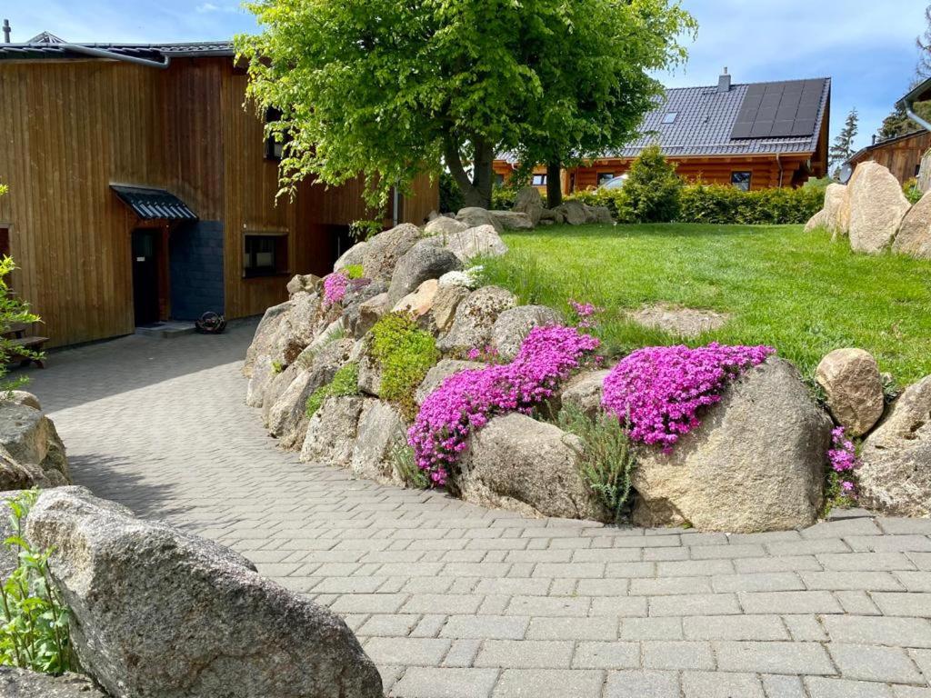 Naturstammhaus und Appartements Zum Brockenbaecker