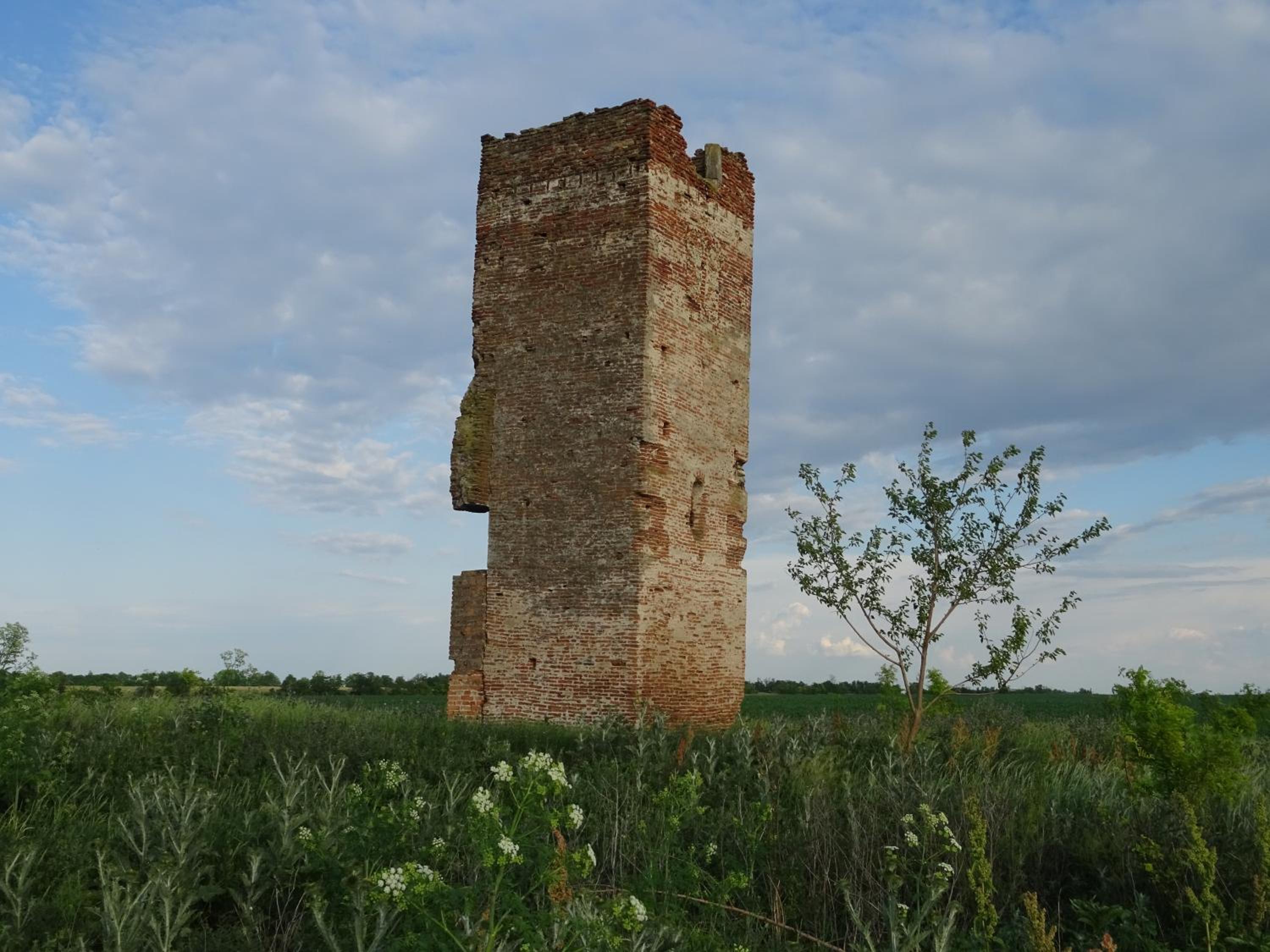 Photo 49