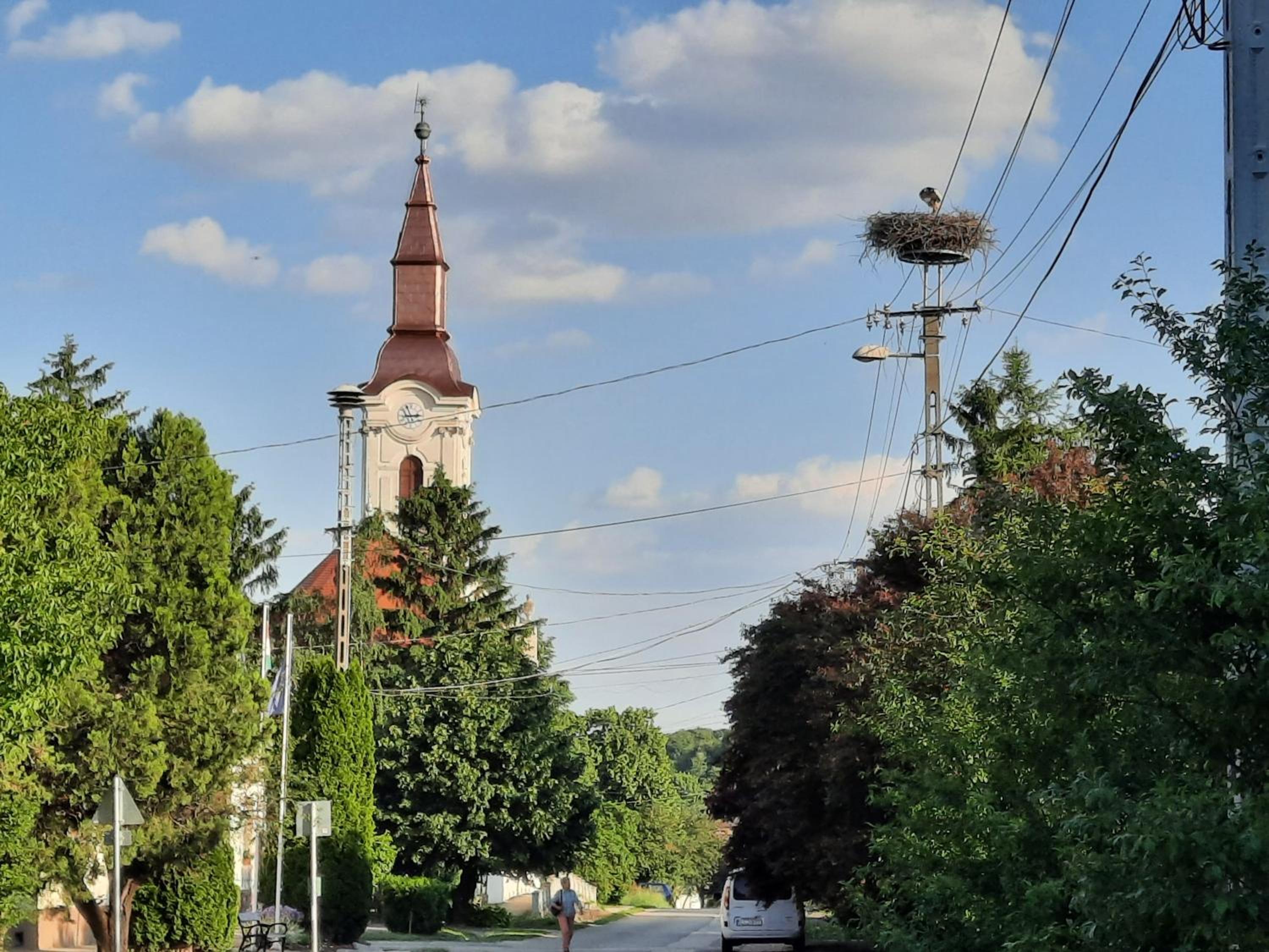 Photo 47