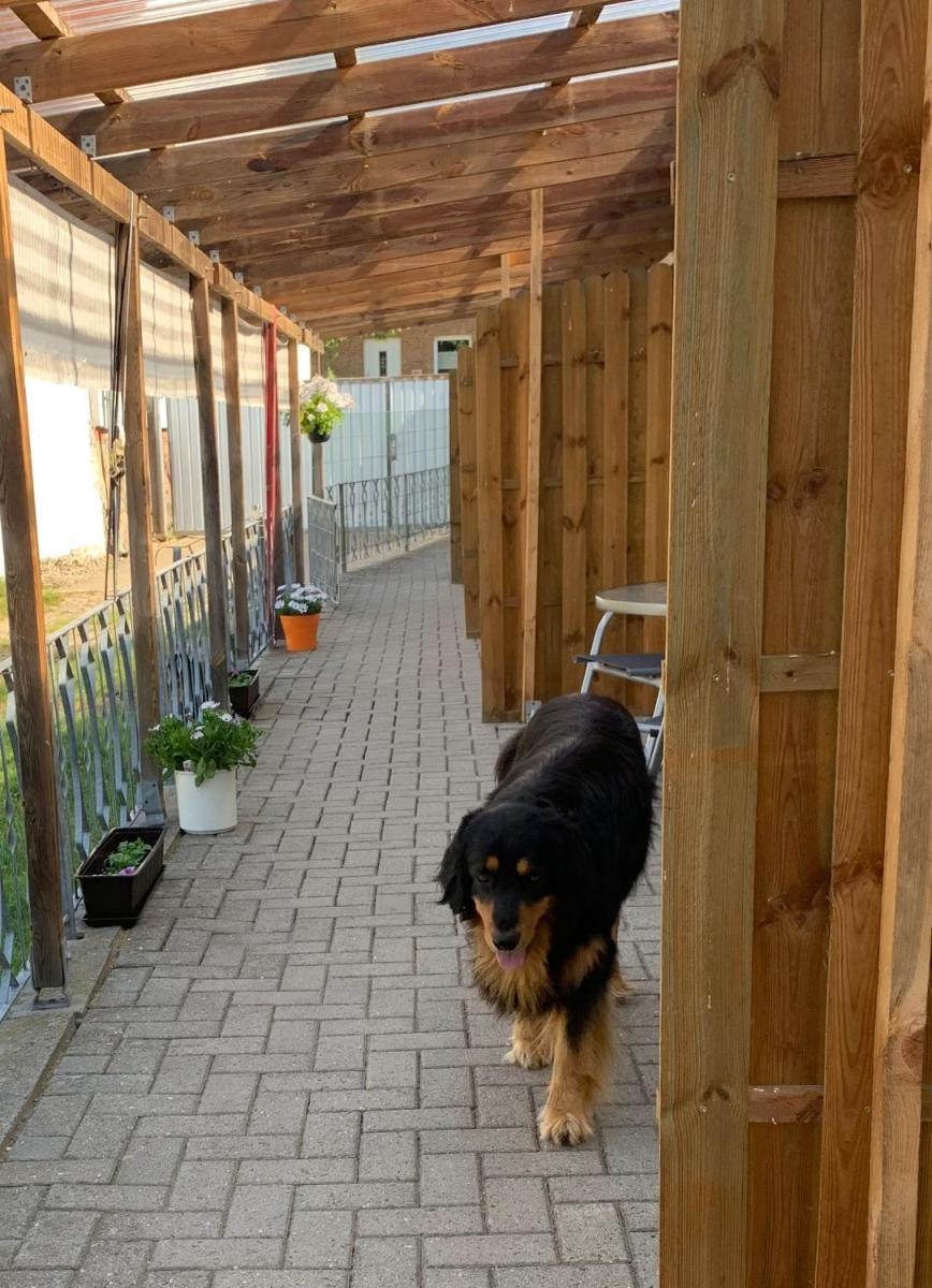 outdoor BBQ area