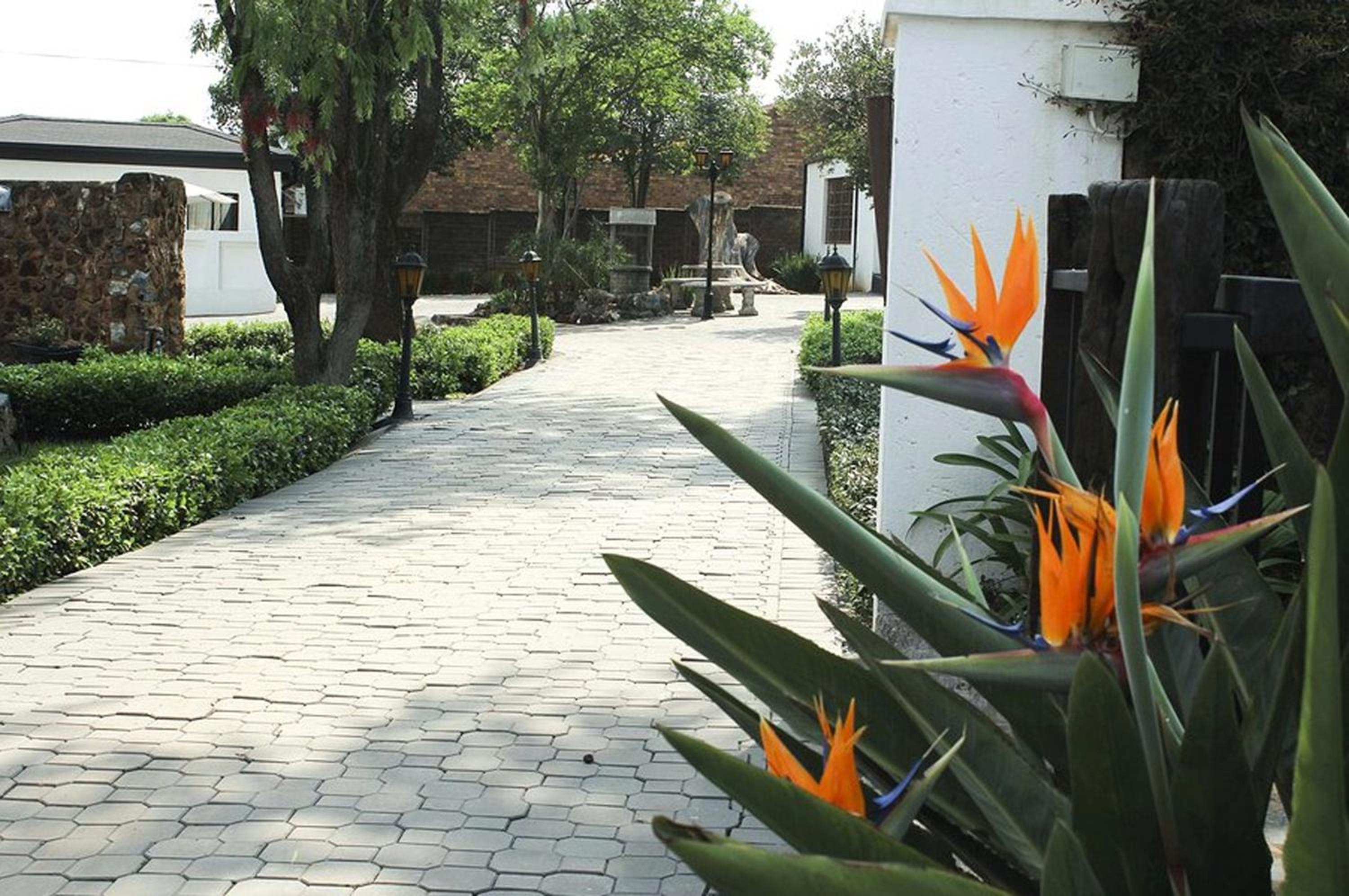 Lauriston Guesthouse