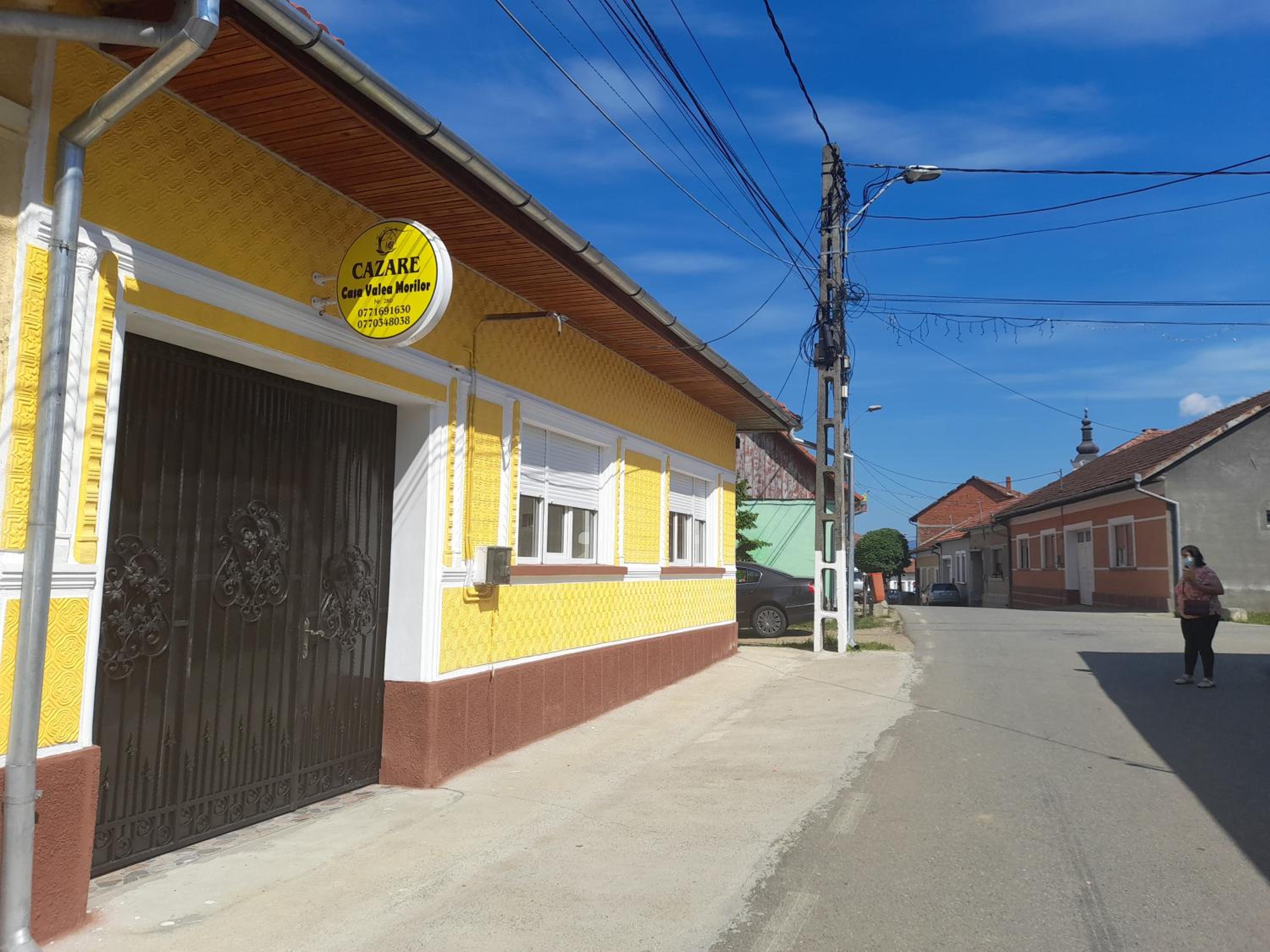 Photo 44