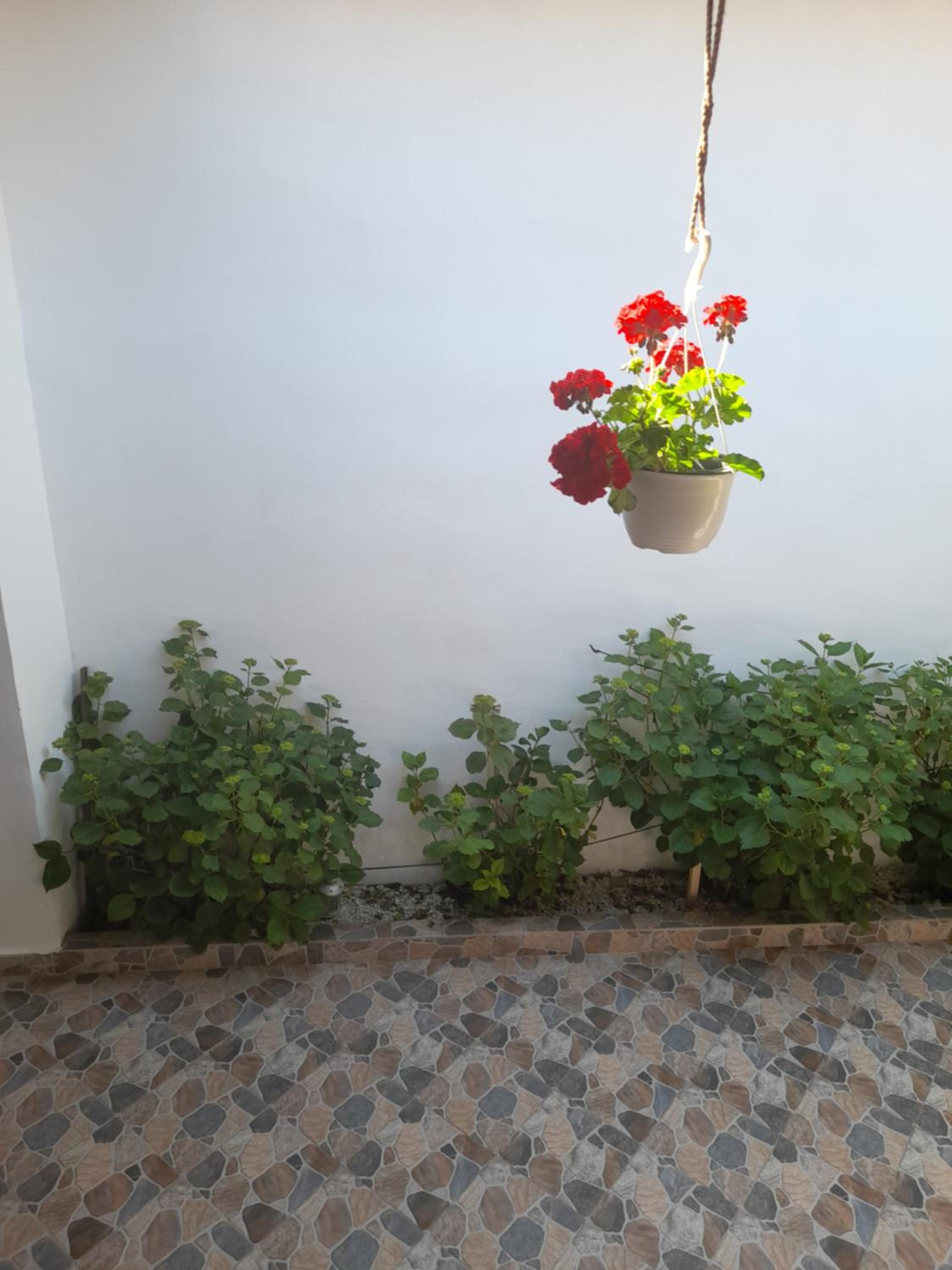 Photo 49