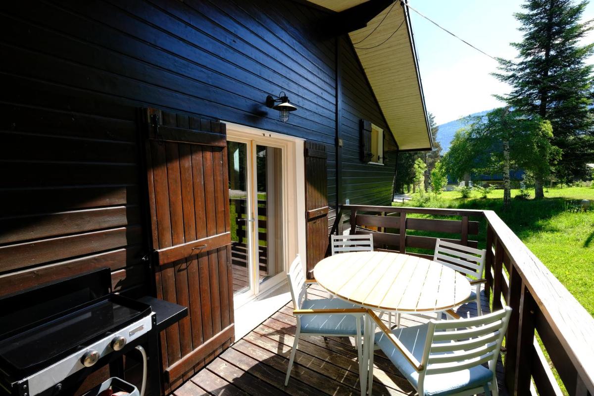 Chalet des Bruyeres view 3