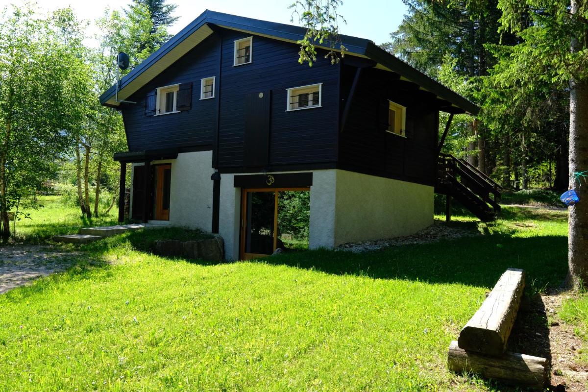 Chalet des Bruyeres view 5