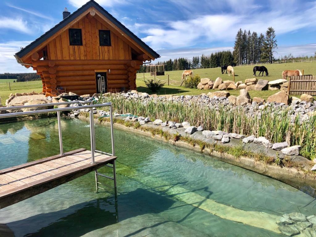Naturstammhaus und Appartements Zum Brockenbaecker