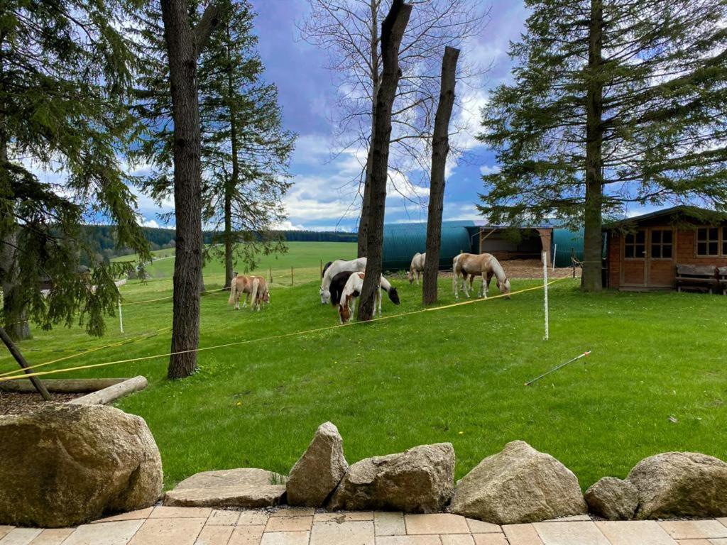 Naturstammhaus und Appartements Zum Brockenbaecker