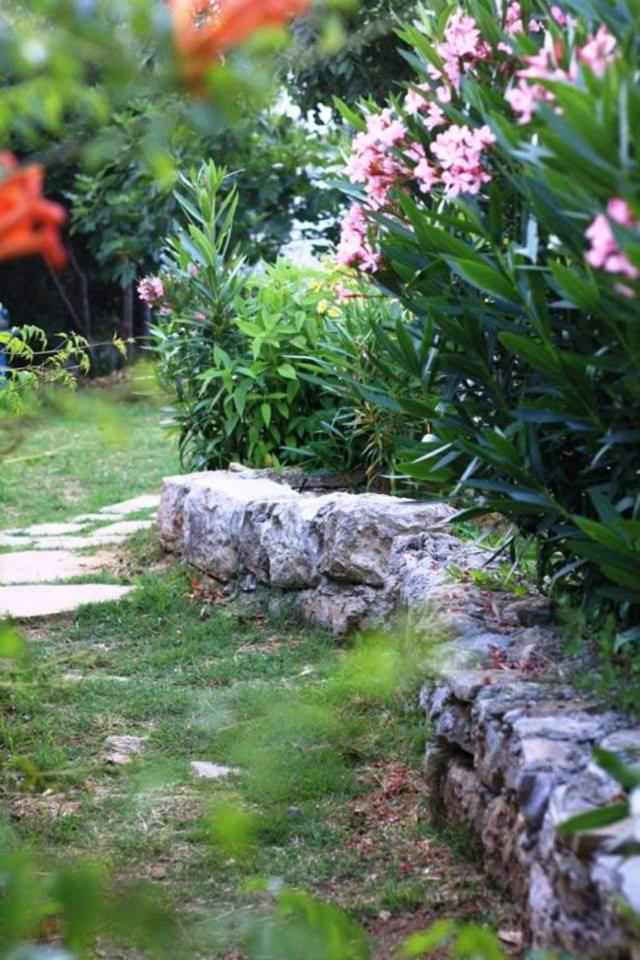 Photo 47