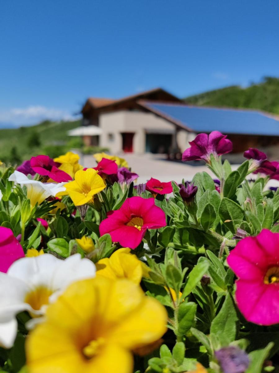 Bio Agritur al Bait view 2