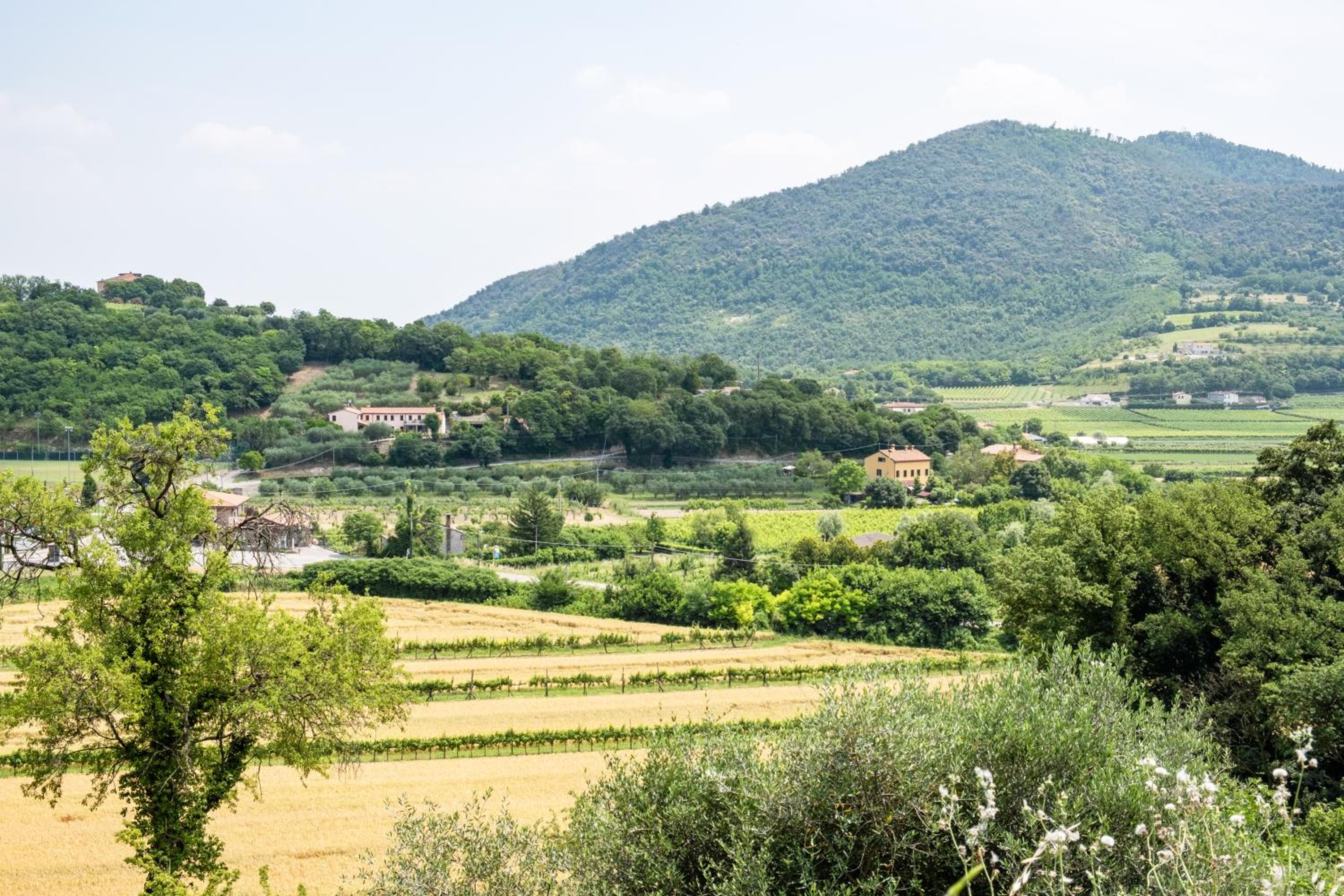 Arquà Petrarca Vista sui colli - Giardino & garage