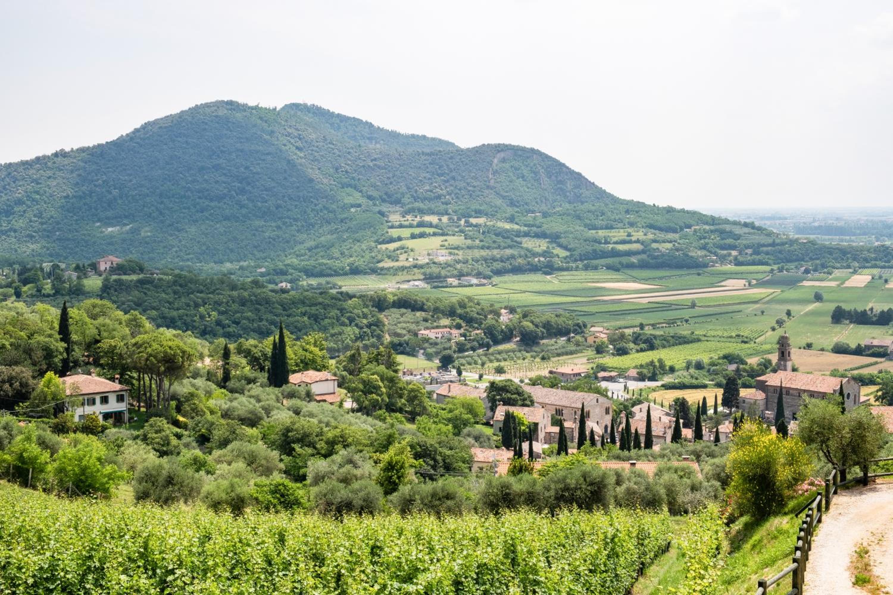 Arquà Petrarca Vista sui colli - Giardino & garage