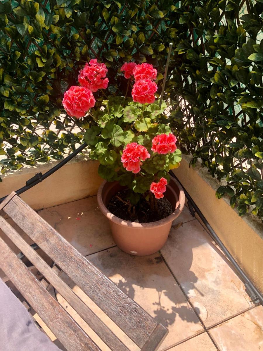 Photo 38