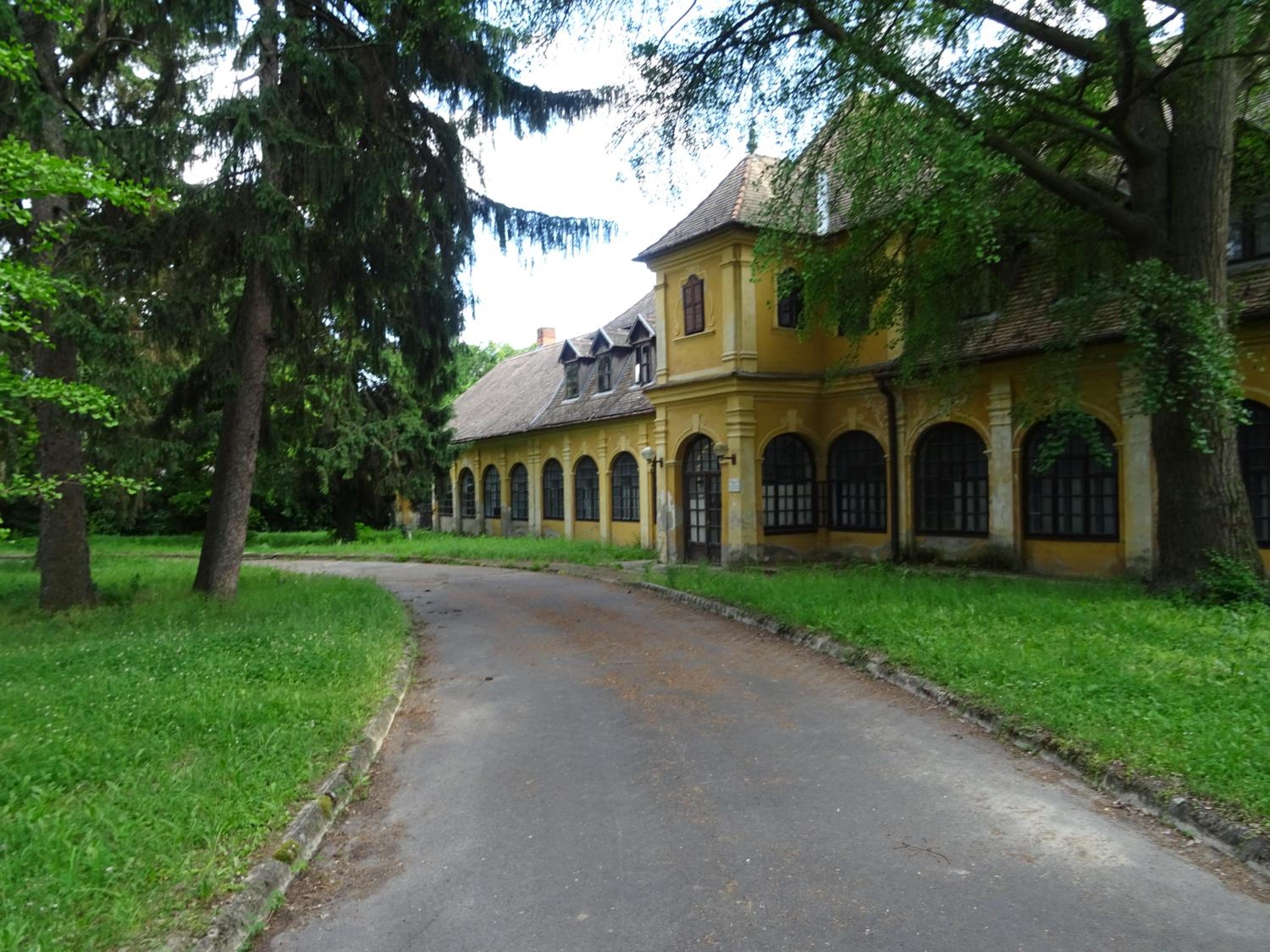 Photo 52