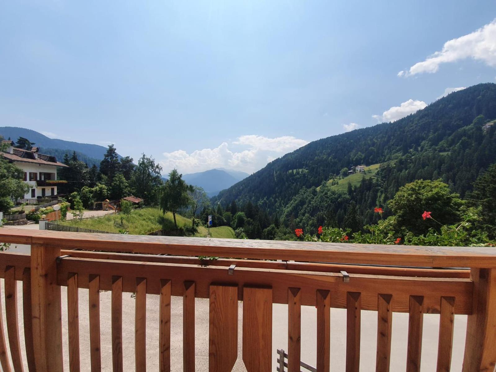 Mesnerhof view 3