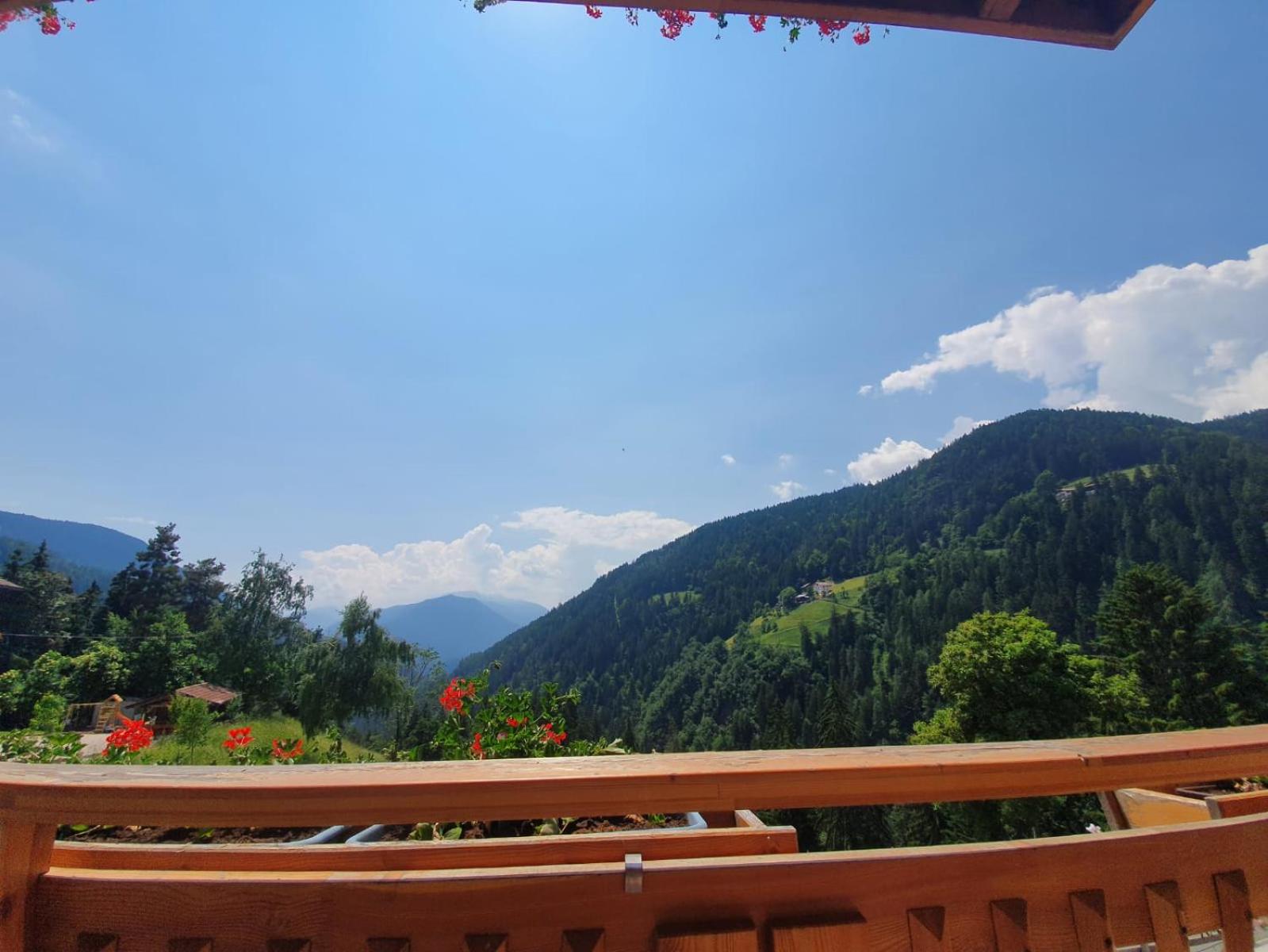Mesnerhof view 2
