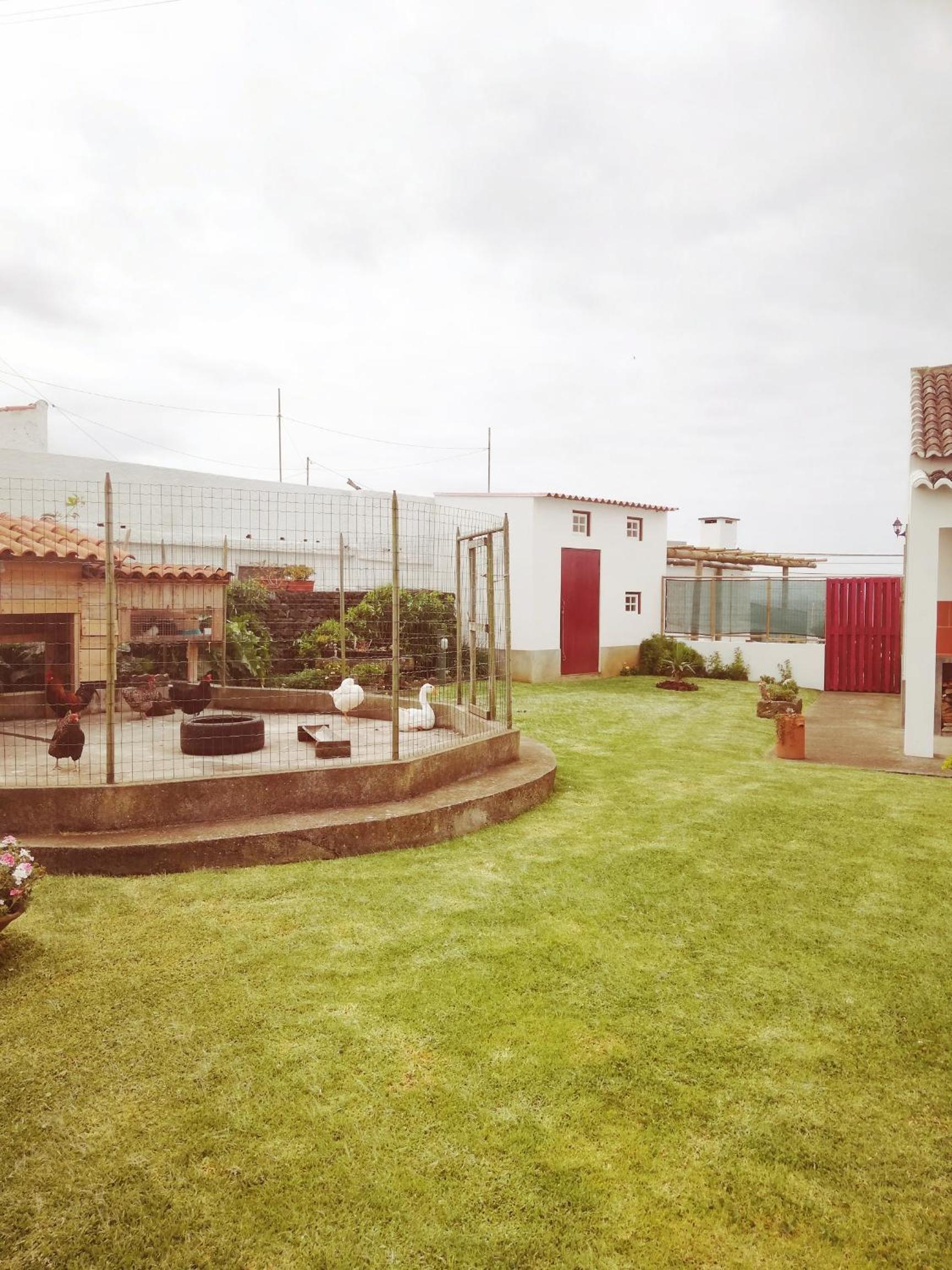 Photo 43