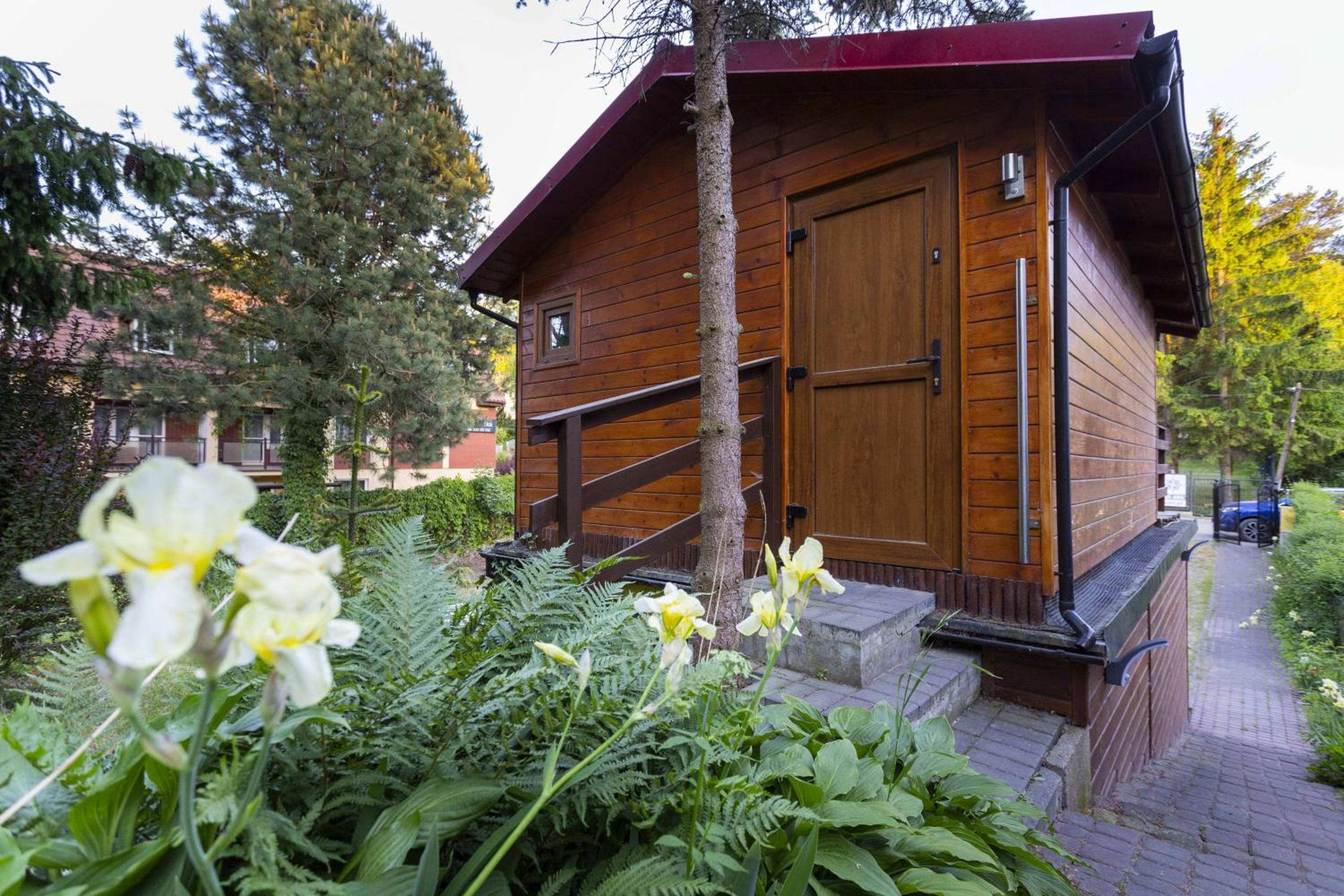 Photo 40