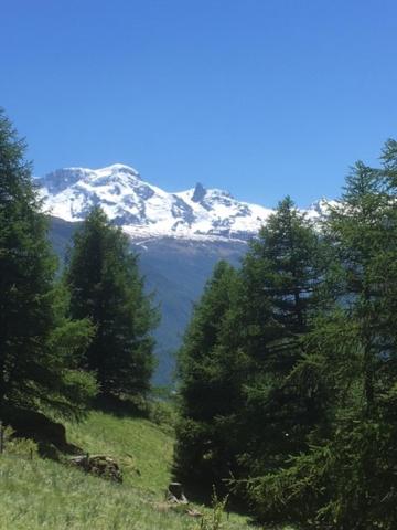 Haus Valaisia - Randa bei Zermatt view 5