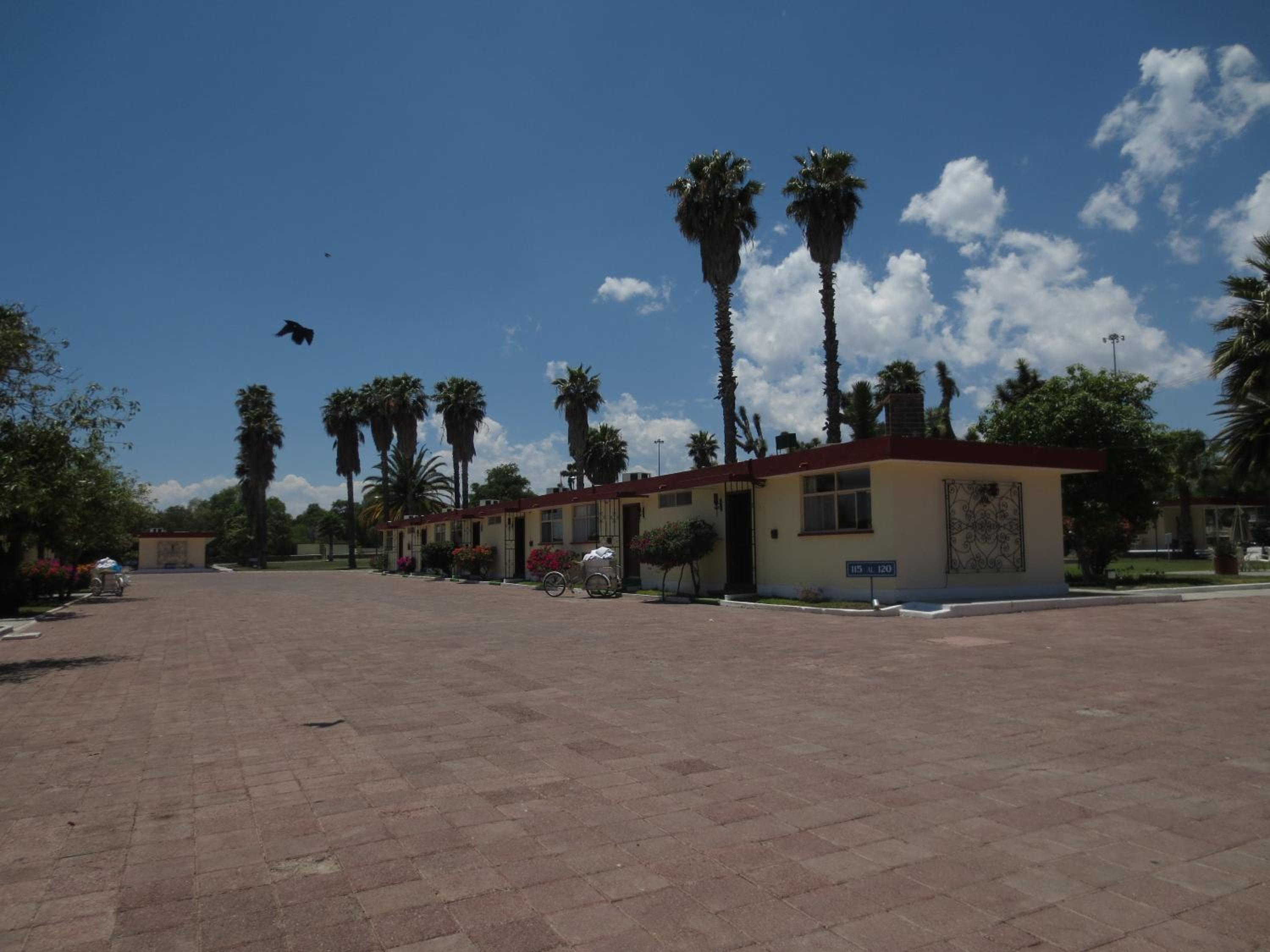 Photo 8