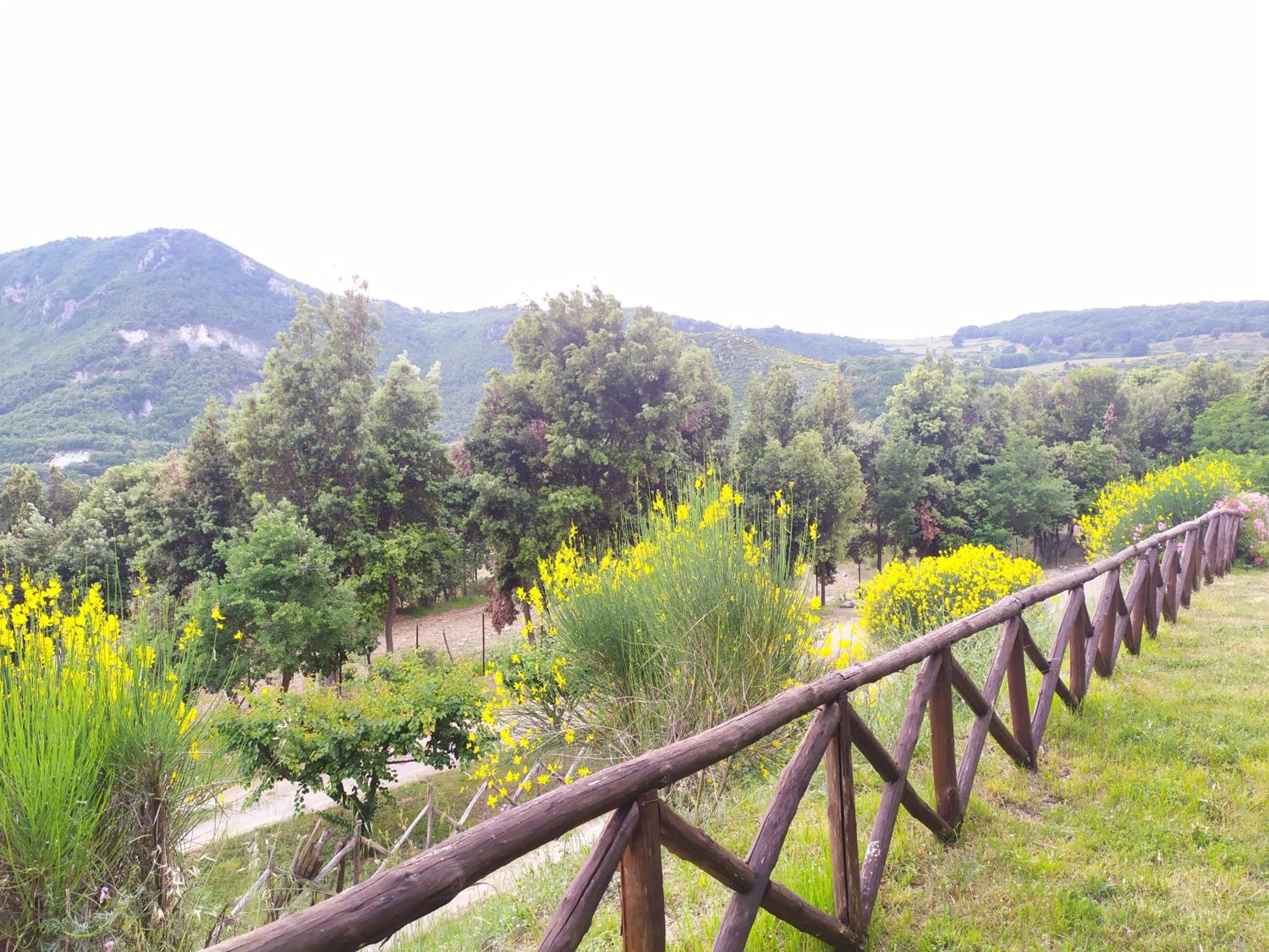 Agriturismo Colloreto