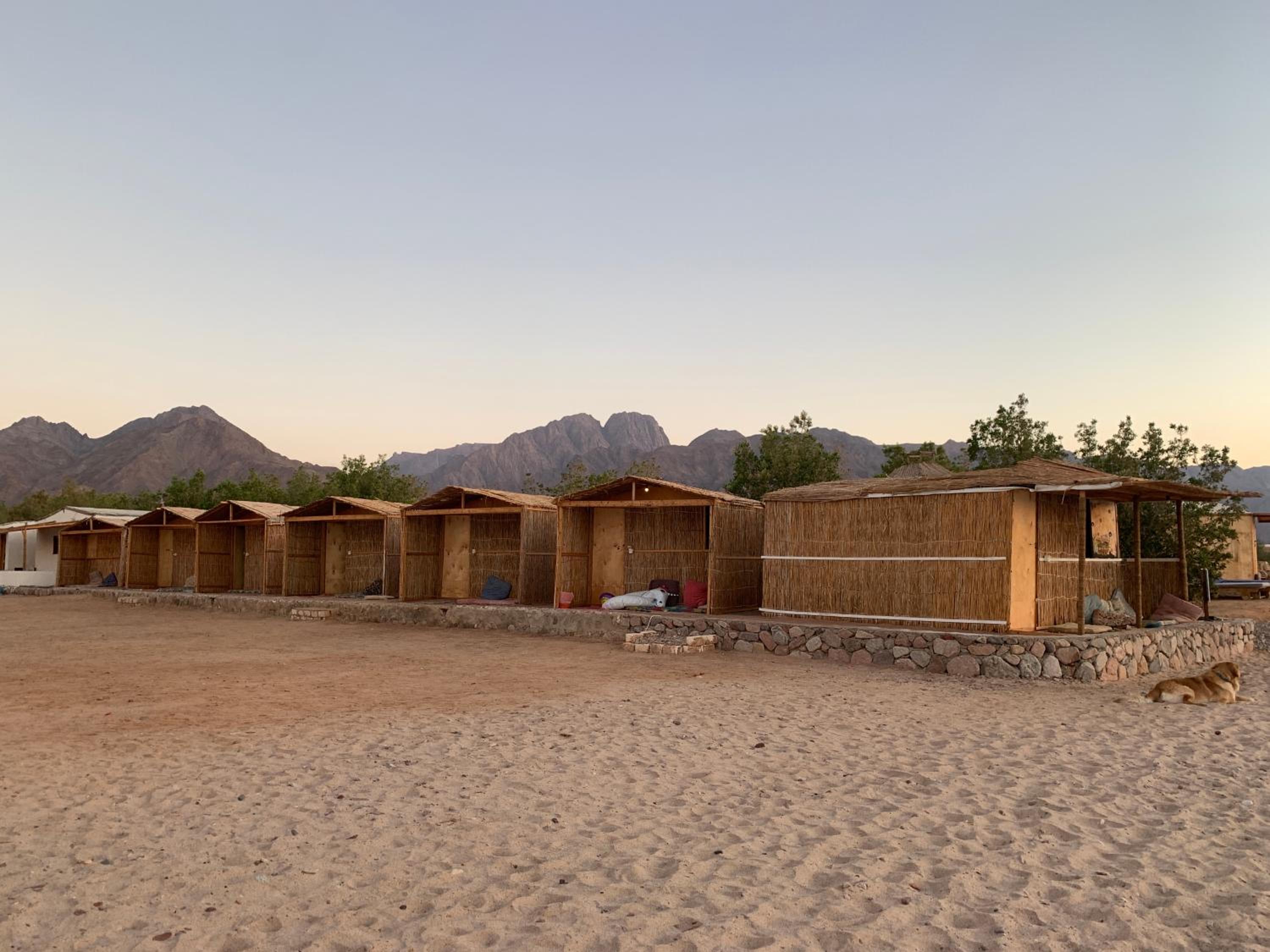 Alwaha Camp